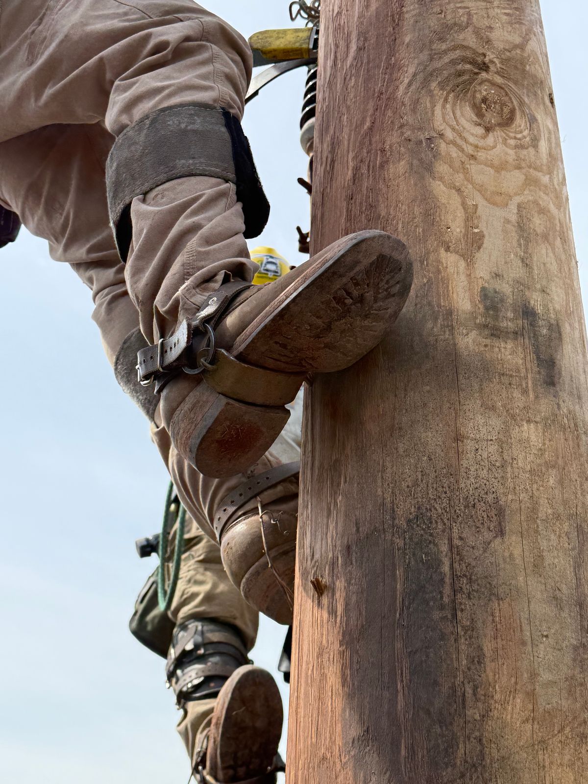 Photo by jandrescavage on March 20, 2026 of the Frank's Boots Front Range in Horween Natural Chromexcel.
