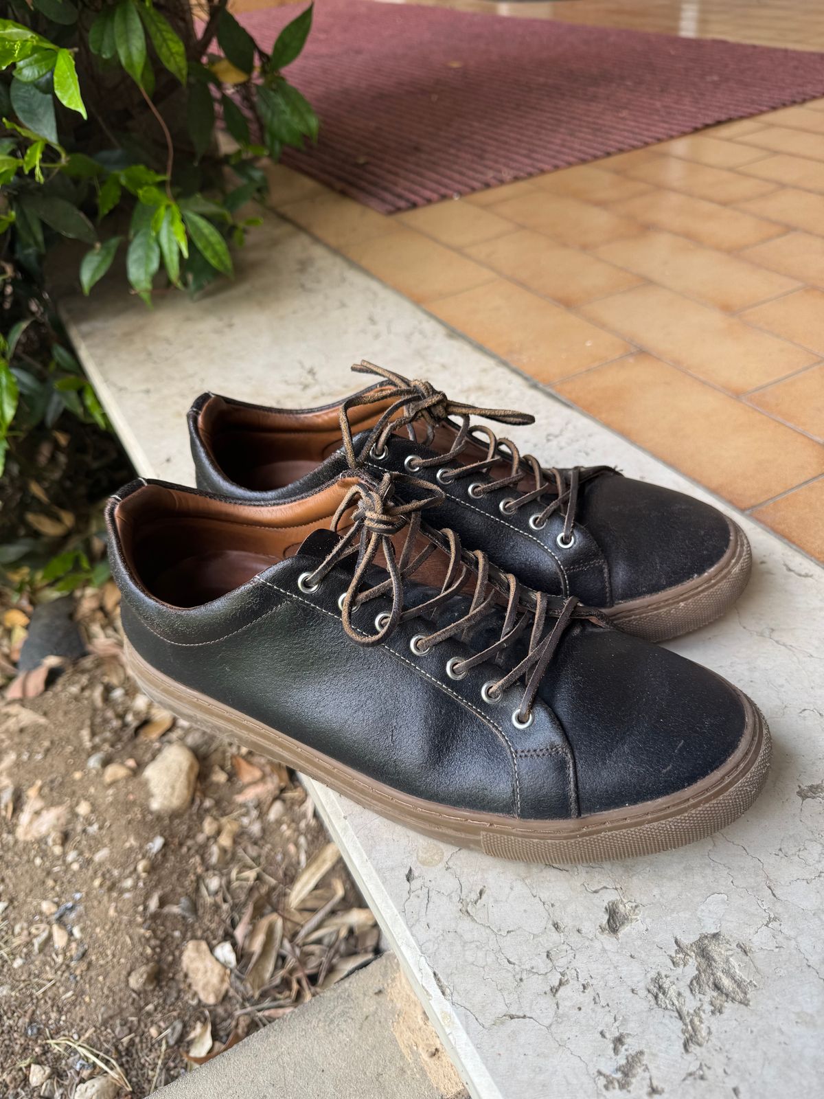 Photo by venturz on April 17, 2026 of the Thursday Premier Low Top in Horween Waxed Cacao.