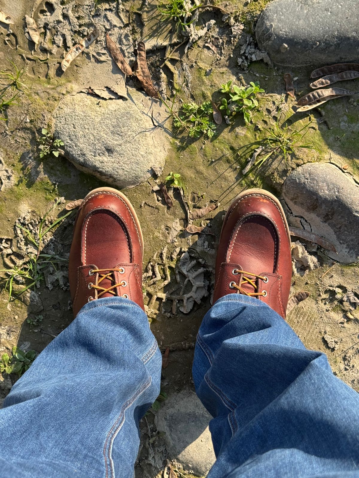 Photo by venturz on March 20, 2026 of the Red Wing 6-Inch Classic Moc in Unknown Leather.