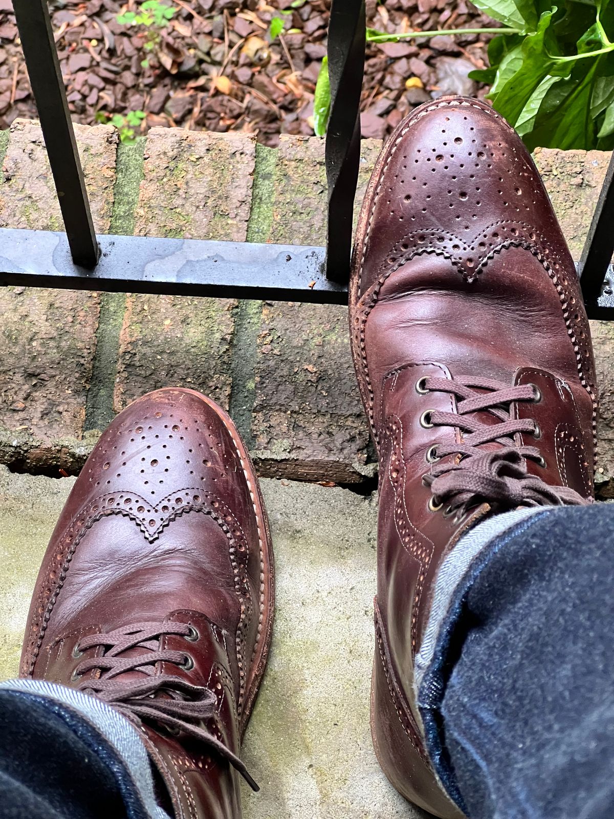 Photo by the_avid_gentleman on June 14, 2025 of the Thursday Wingtip in Unknown Leather.