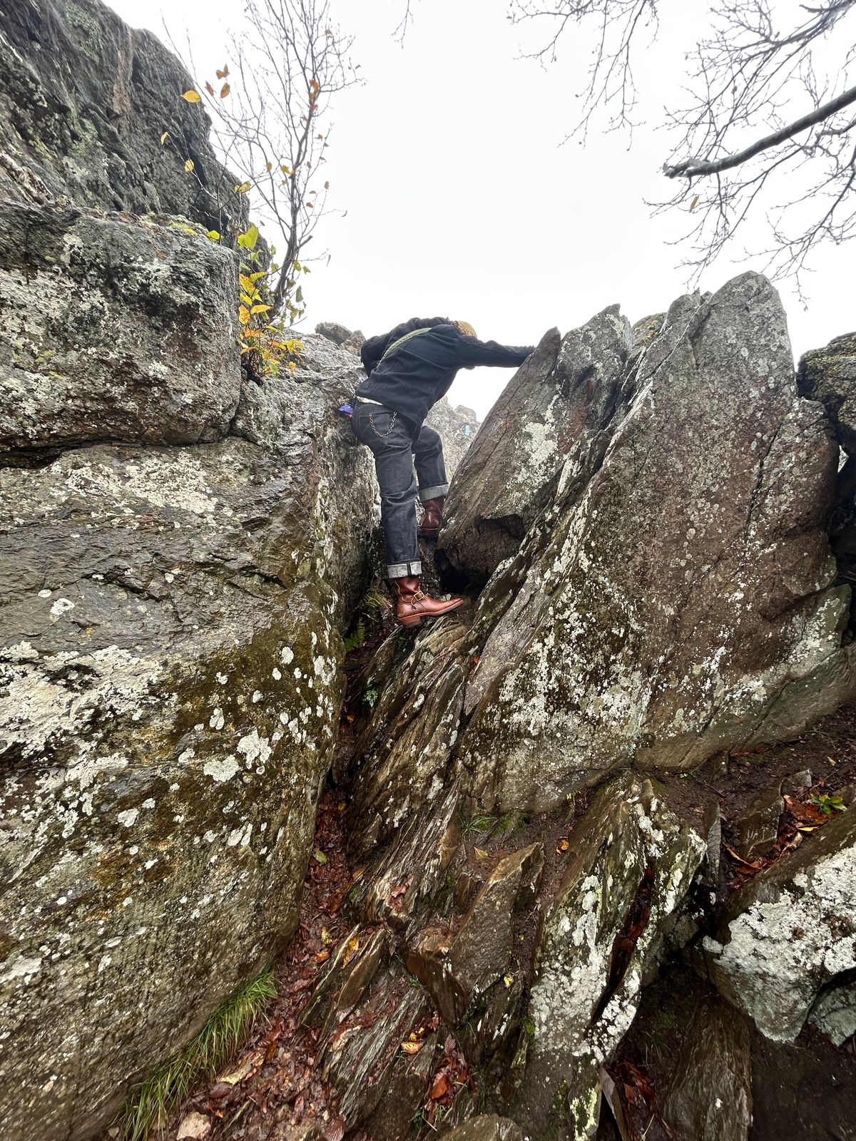 Photo by august_september on October 13, 2025 of the Briselblack The Keeper 'Type 3' Engineer Boot in Maryam Natural Horsebutt overdyed Brown.