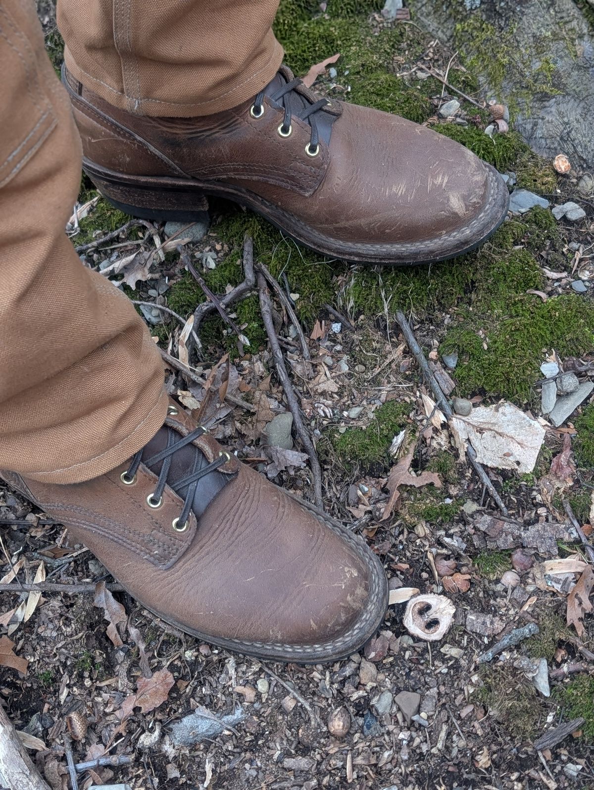 Photo by proof.in.whisky on March 15, 2026 of the Nicks MTO in Horween Natural Cypress.