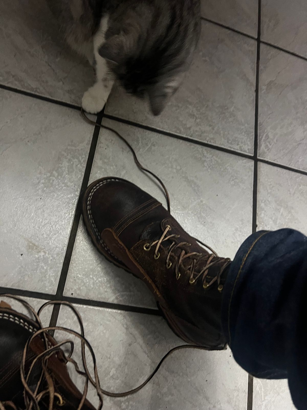 Photo by Eureka on December 19, 2025 of the Nicks x Rose Anvil ND1 in Horween Brown Waxed Flesh.