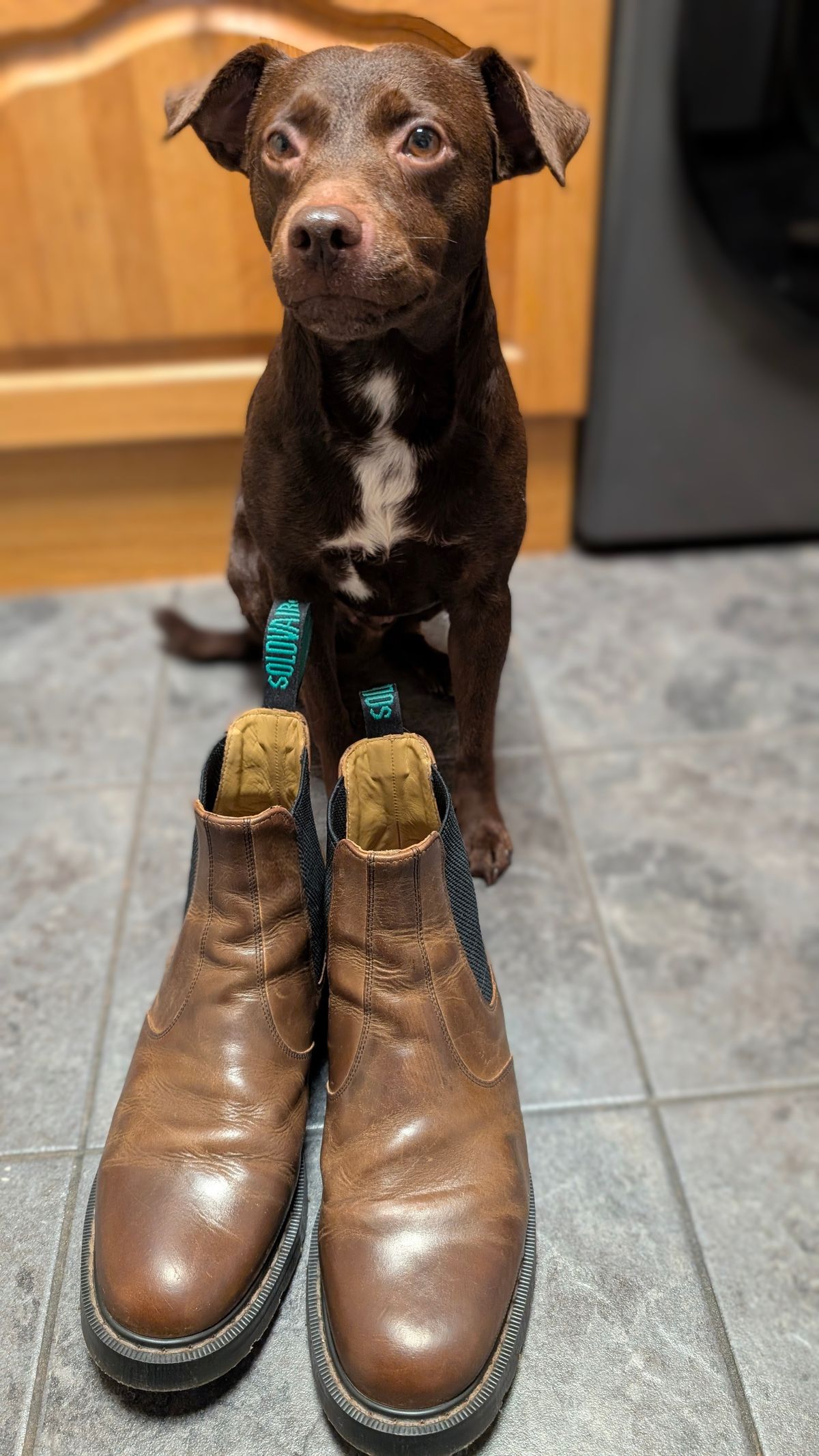 Photo by Yakkboot73 on December 3, 2025 of the Solovair Dealer Boot in Gaucho Crazy Horse Greasy Pull Up.