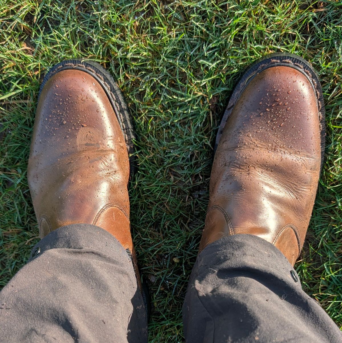 Photo by Yakkboot73 on December 13, 2025 of the Solovair Dealer Boot in Gaucho Crazy Horse Greasy Pull Up.