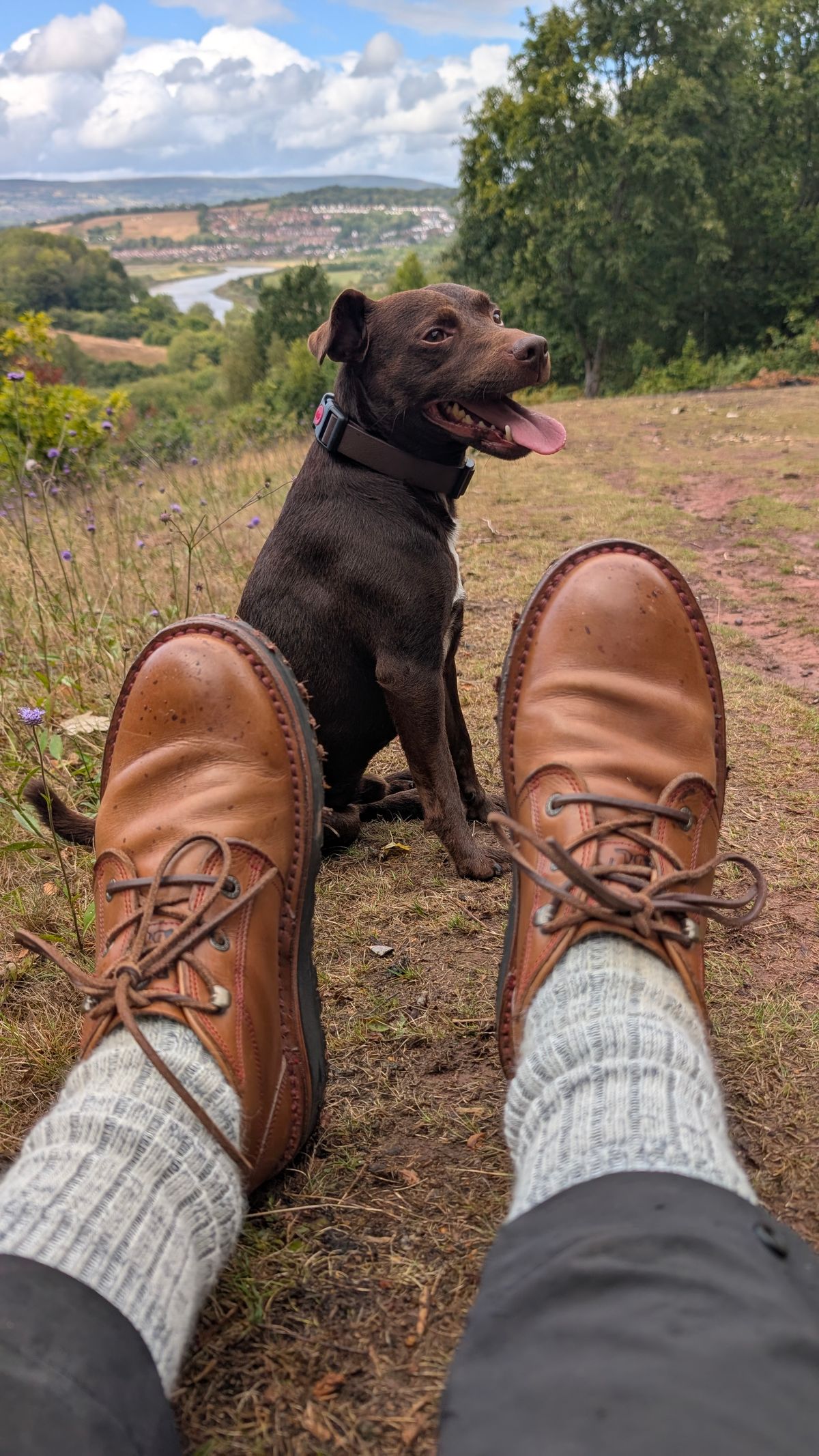 Photo by Yakkboot73 on August 31, 2025 of the Jim Green Turbo Vellie Custom in Natural Veg Tan.