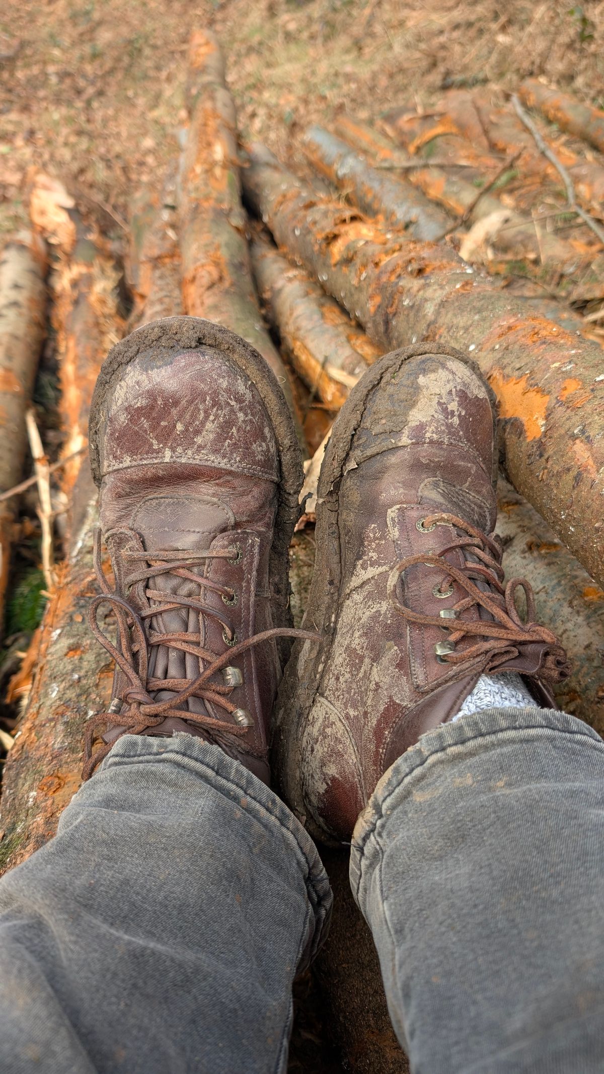 Photo by Yakkboot73 on March 9, 2025 of the Jim Green African Ranger in African Buffalo Skin.