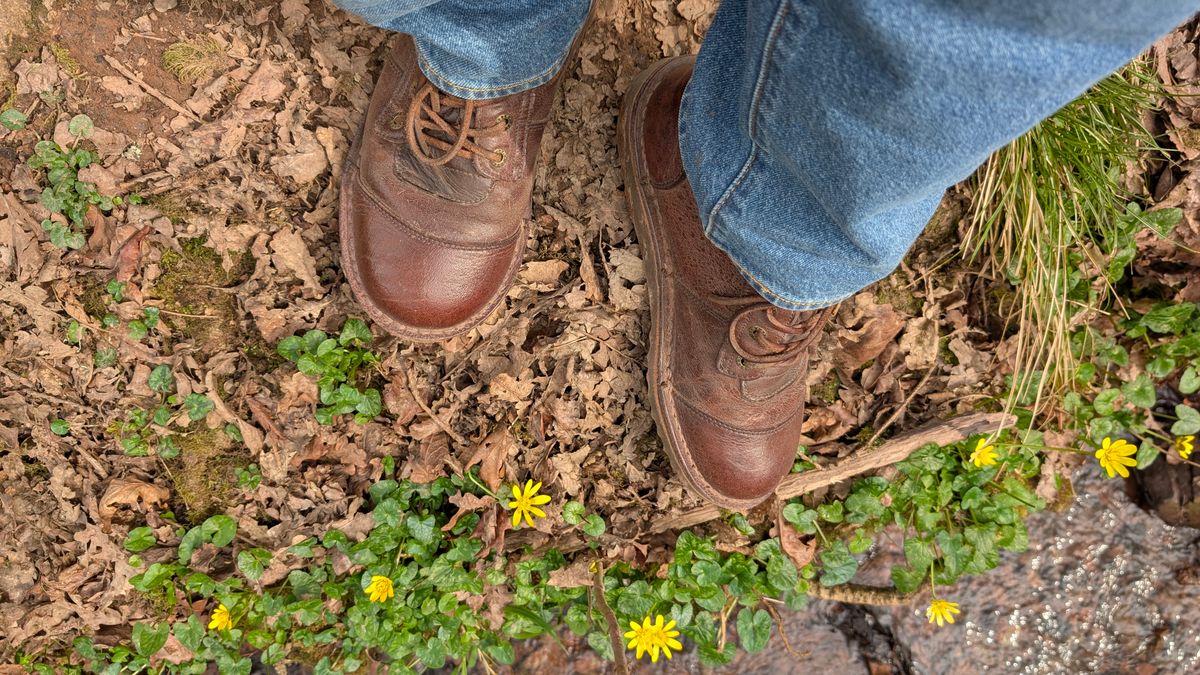 Photo by Yakkboot73 on March 21, 2025 of the Jim Green African Ranger in African Buffalo Skin.