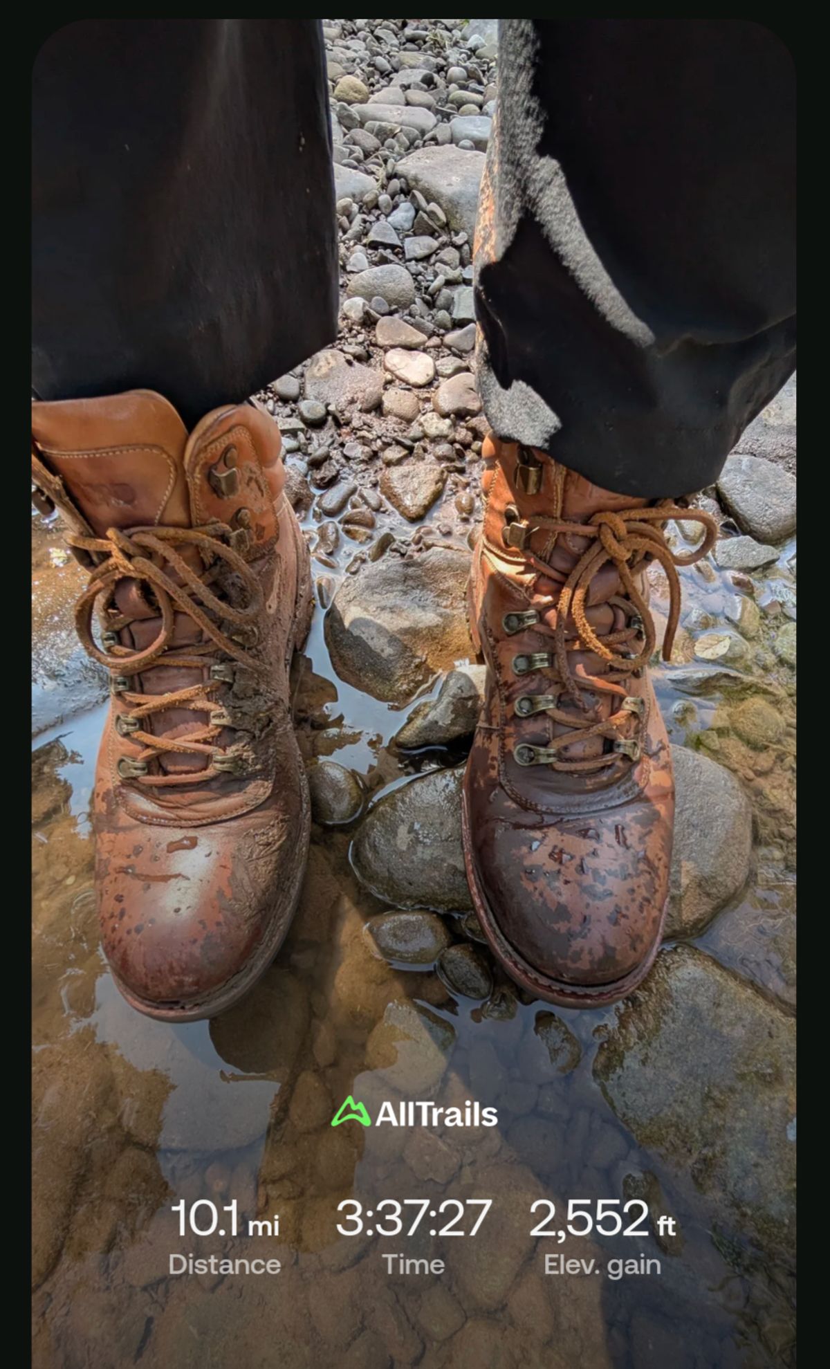 Photo by Yakkboot73 on August 16, 2025 of the Blkbrd Shoemaker Bulwark Trek Boot in Cognac.
