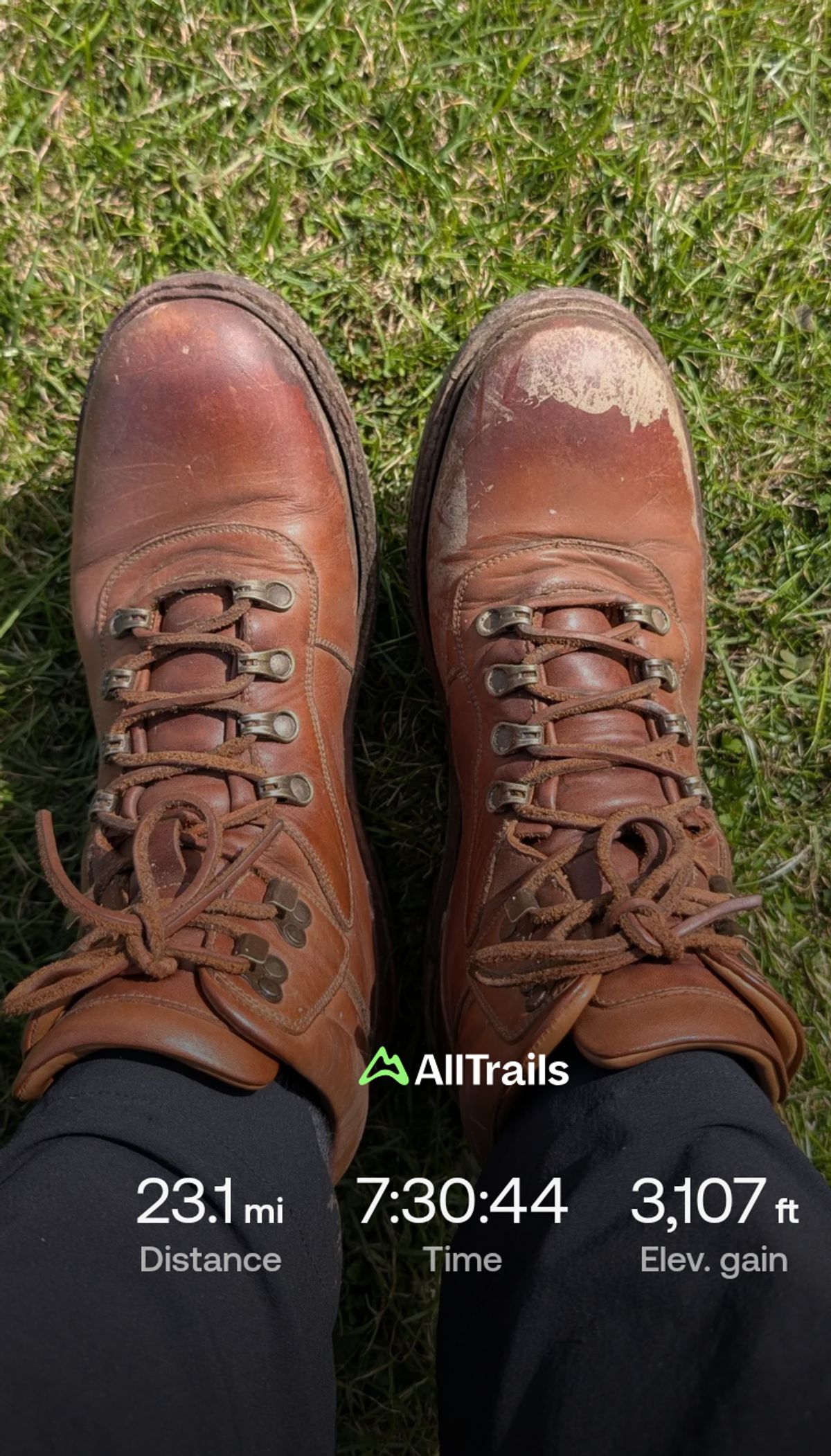 Photo by Yakkboot73 on September 7, 2025 of the Blkbrd Shoemaker Bulwark Trek Boot in Cognac.