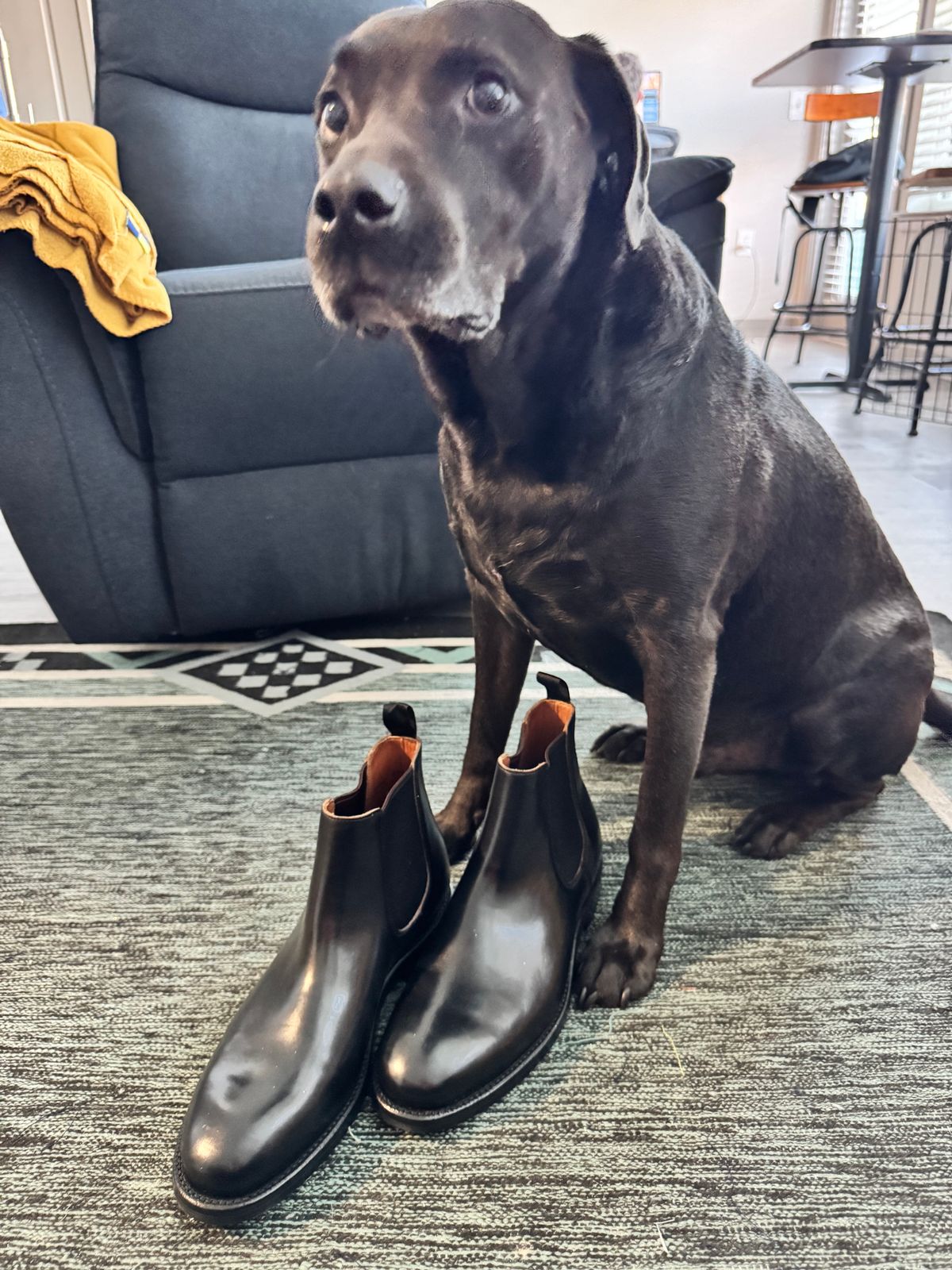 Photo by BootSniffer69 on December 24, 2025 of the Grant Stone Chelsea Boot in Horween Black Chromexcel.