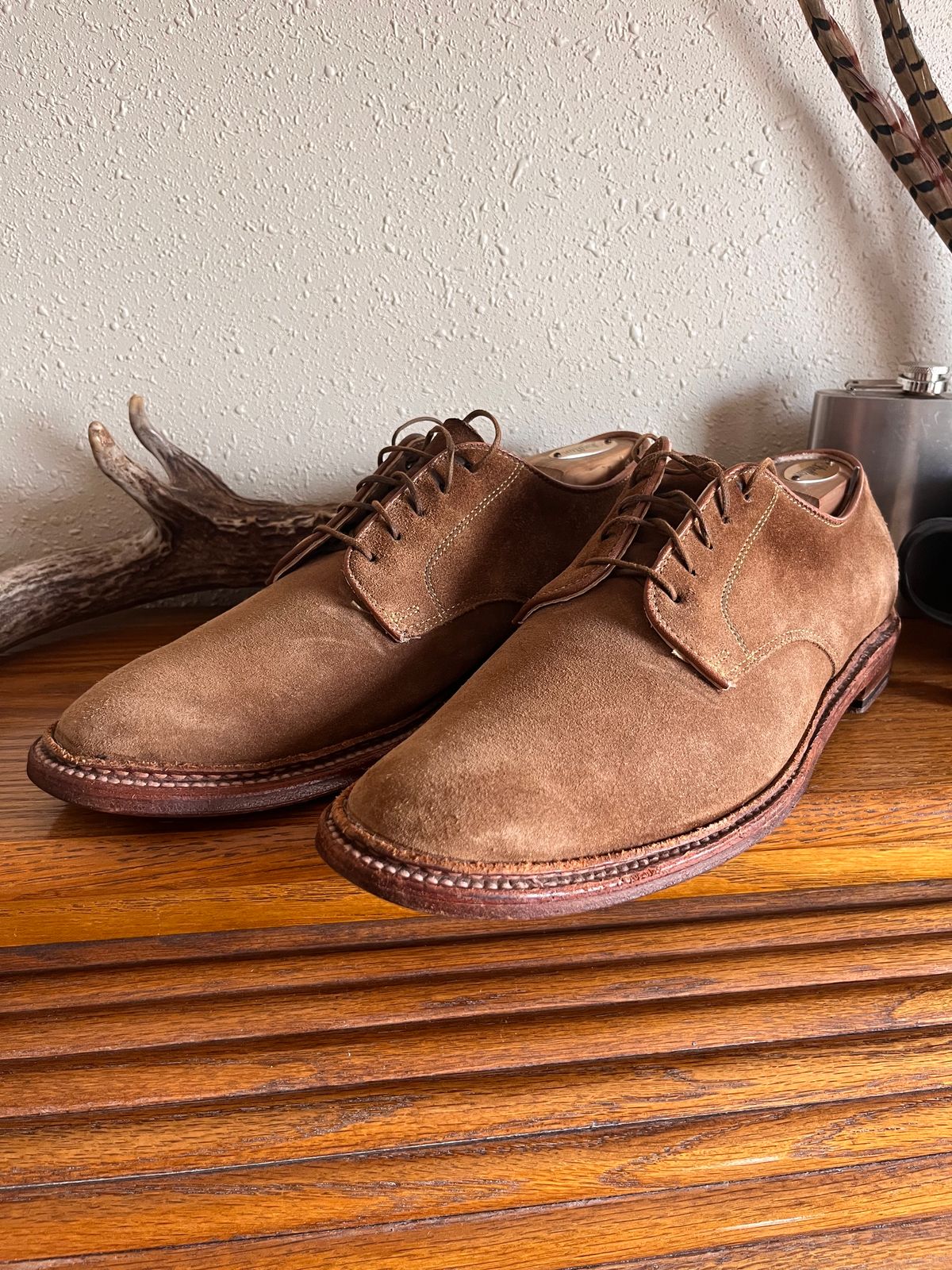 Photo by radicalrob on April 2, 2025 of the Alden Plain Toe Derby in Snuff Suede.
