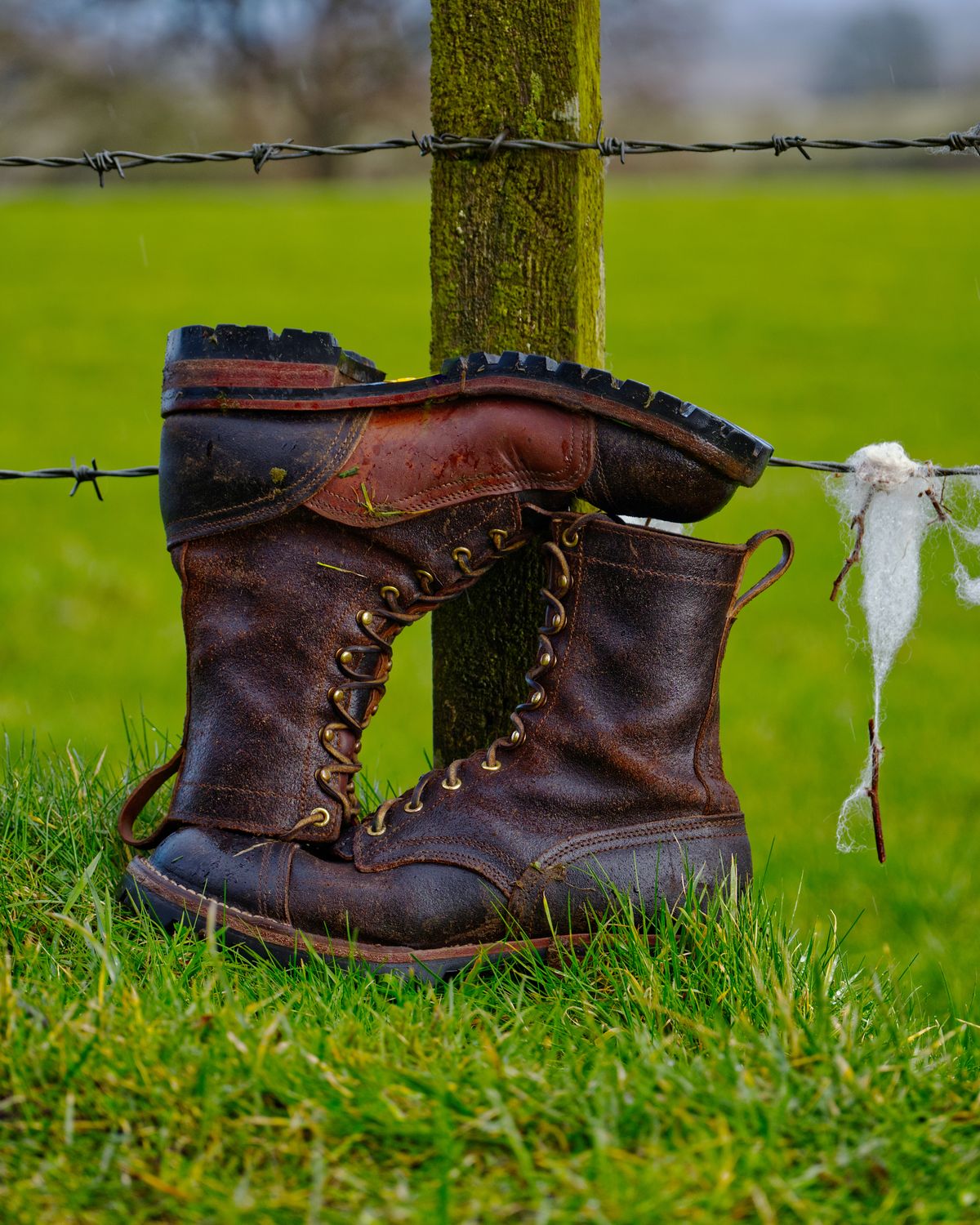 Photo by Call on March 11, 2026 of the Nicks x Rose Anvil ND1 in Horween Brown Waxed Flesh & Seidel 1964 Brown.