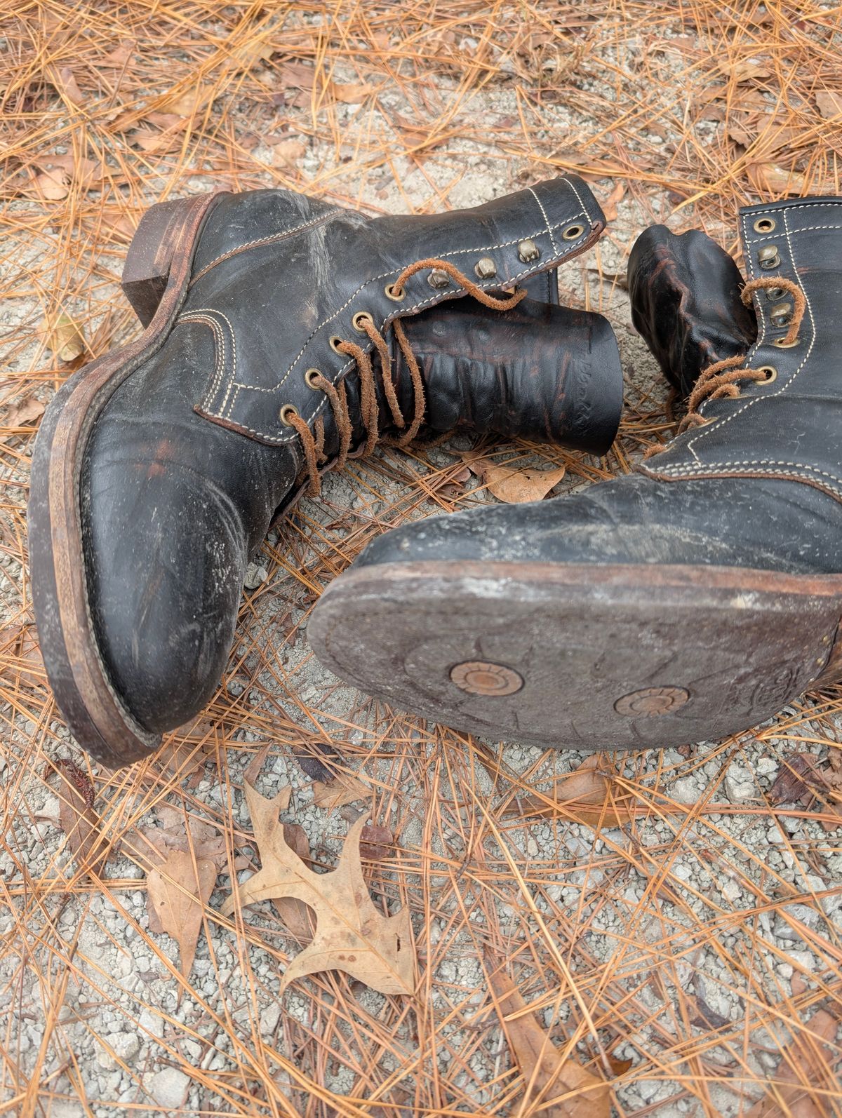 Photo by mbjsmith82 on November 2, 2024 of the Jakkrabbits Custom Model in Shinki Black Antique Horsehide.