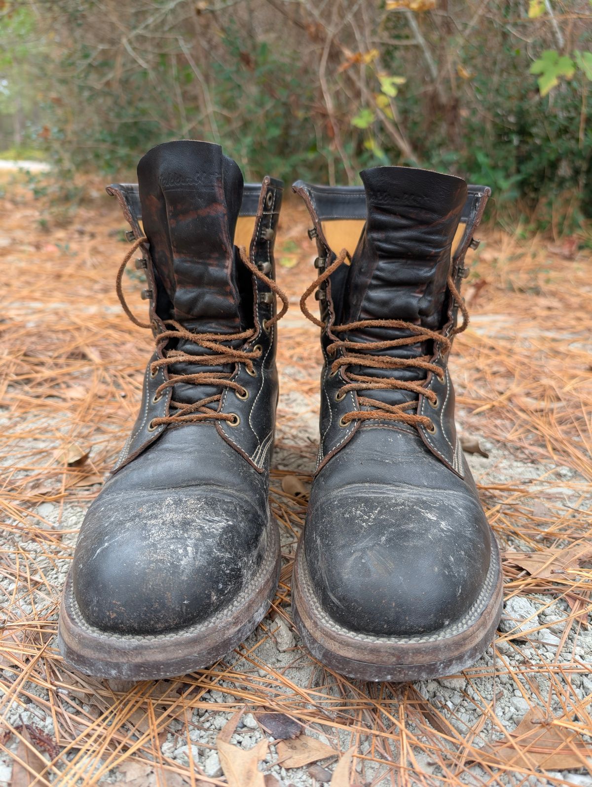 Photo by mbjsmith82 on November 2, 2024 of the Jakkrabbits Custom Model in Shinki Black Antique Horsehide.