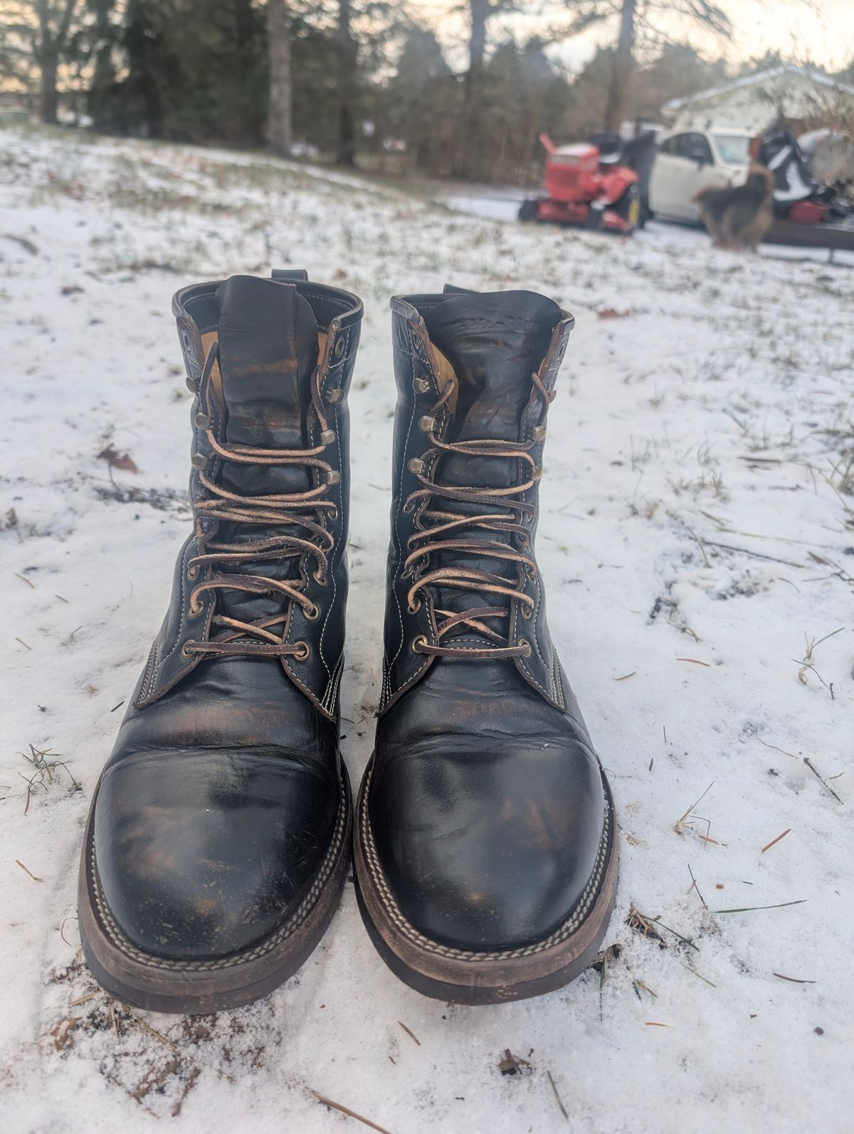 Photo by mbjsmith82 on December 5, 2024 of the Jakkrabbits Custom Model in Shinki Black Antique Horsehide.