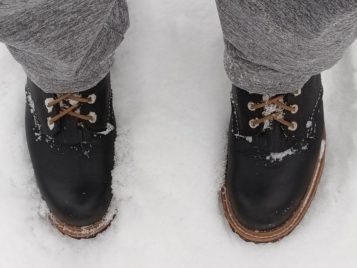 Photo by DaddyBootsEsquire on February 2, 2026 of the Red Wing Red Wing / 4501 Logger in Red Wing / S.B. Foot Black Oil Slick.