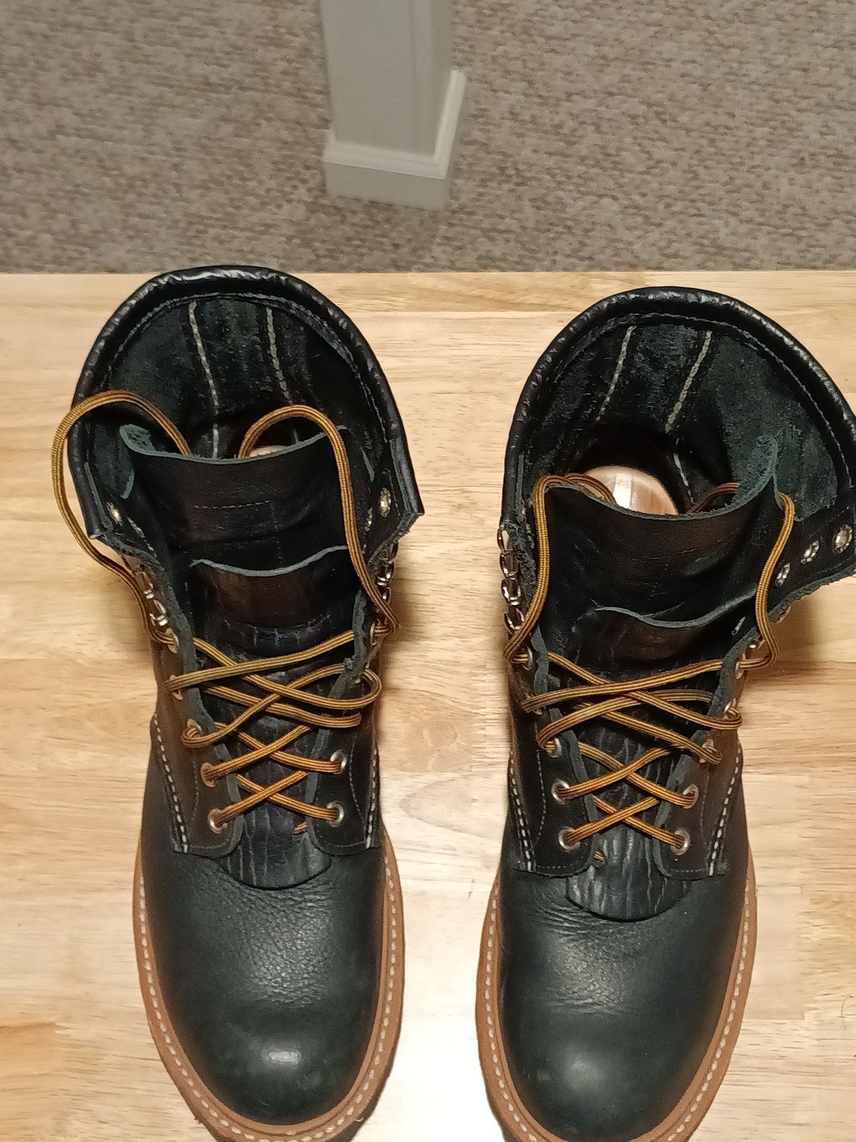 Photo by DaddyBootsEsquire on March 5, 2026 of the Red Wing Red Wing / 4501 Logger in Red Wing / S.B. Foot Black Oil Slick.
