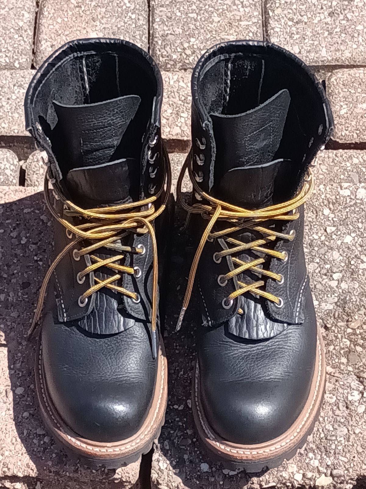 Photo by DaddyBootsEsquire on April 3, 2026 of the Red Wing Red Wing / 4501 Logger in Red Wing / S.B. Foot Black Oil Slick.