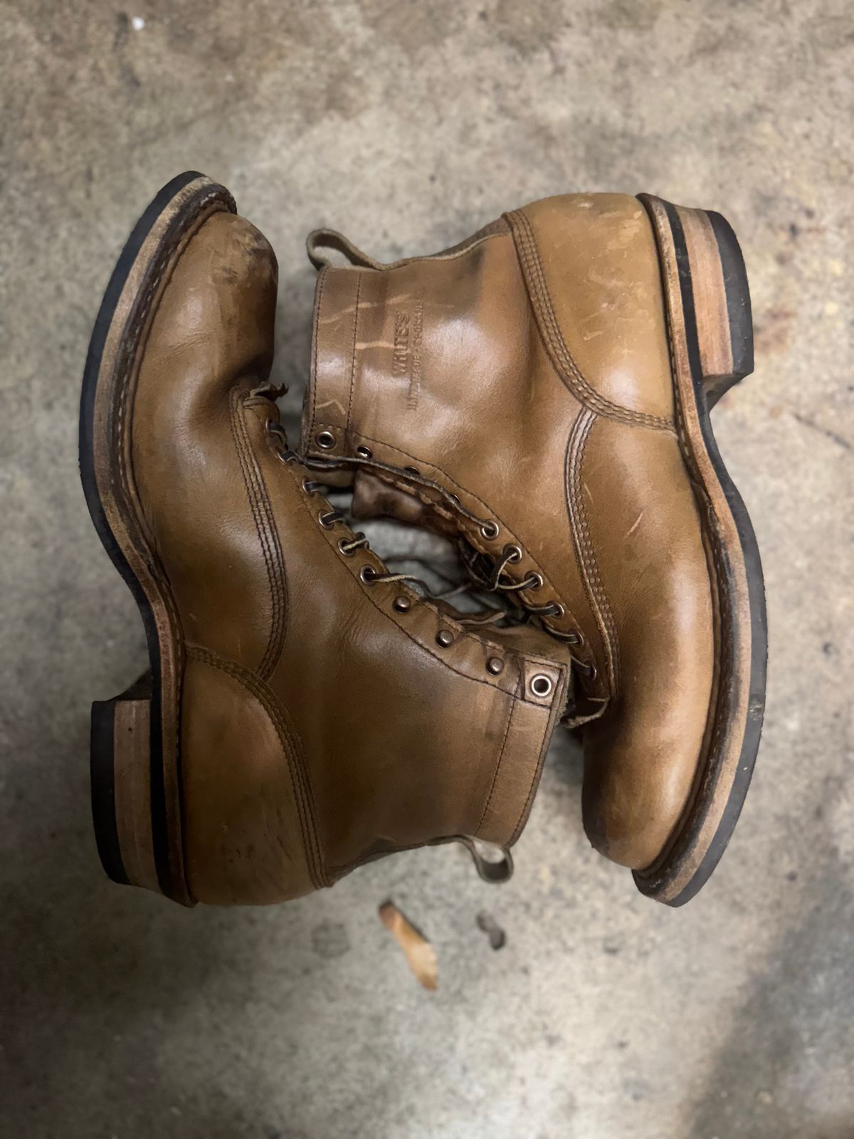 Photo by radkyle on December 6, 2025 of the White's 350 Cutter in Horween Natural Chromexcel.