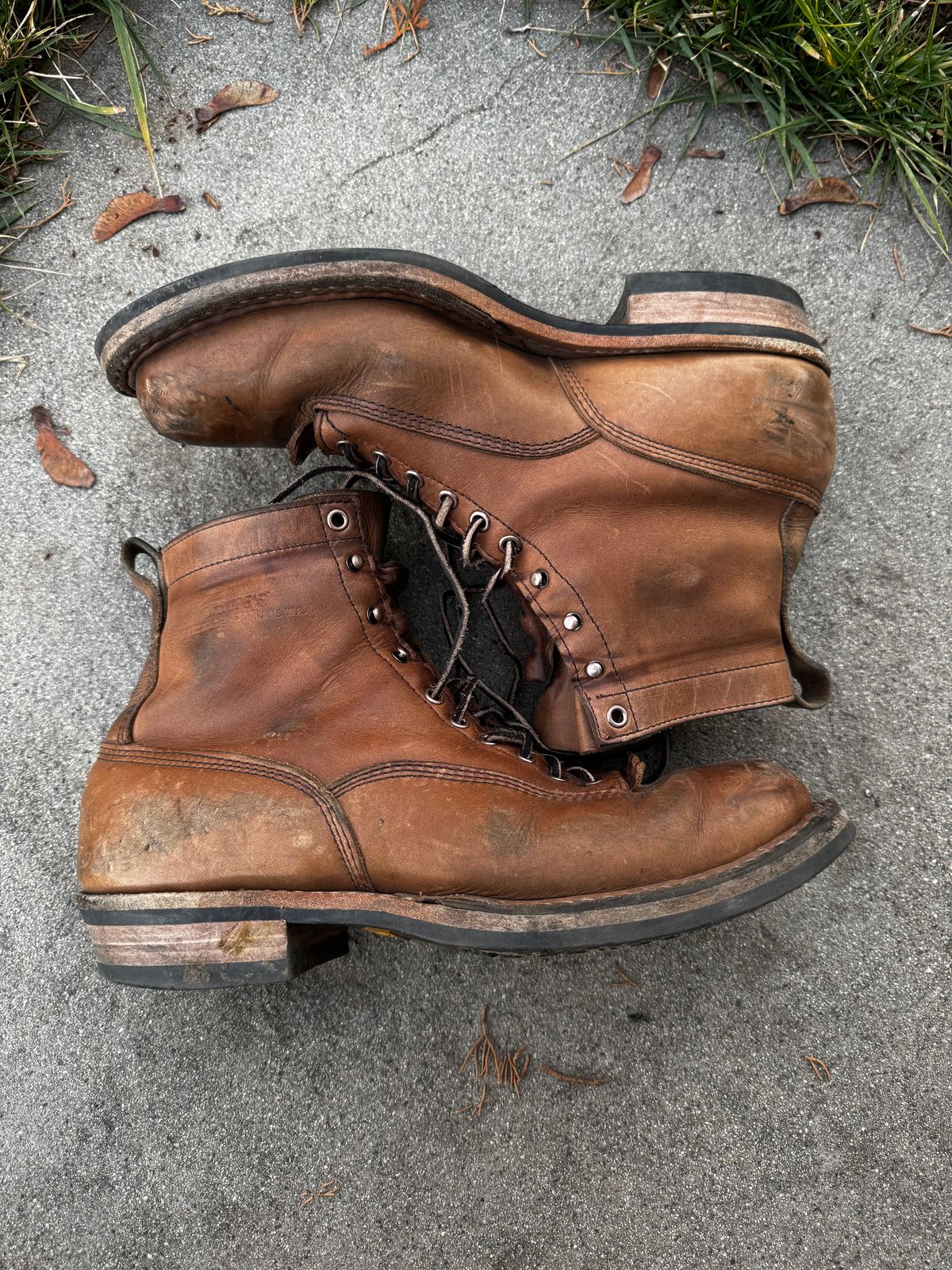 Photo by radkyle on February 5, 2026 of the White's 350 Cutter in Horween Natural Chromexcel.