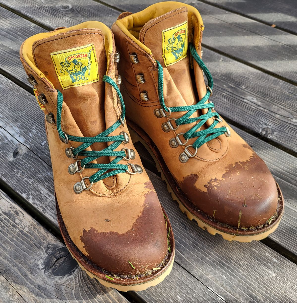 Photo by Max on October 3, 2025 of the Jim Green Razorback in Fudge Crazy Horse.