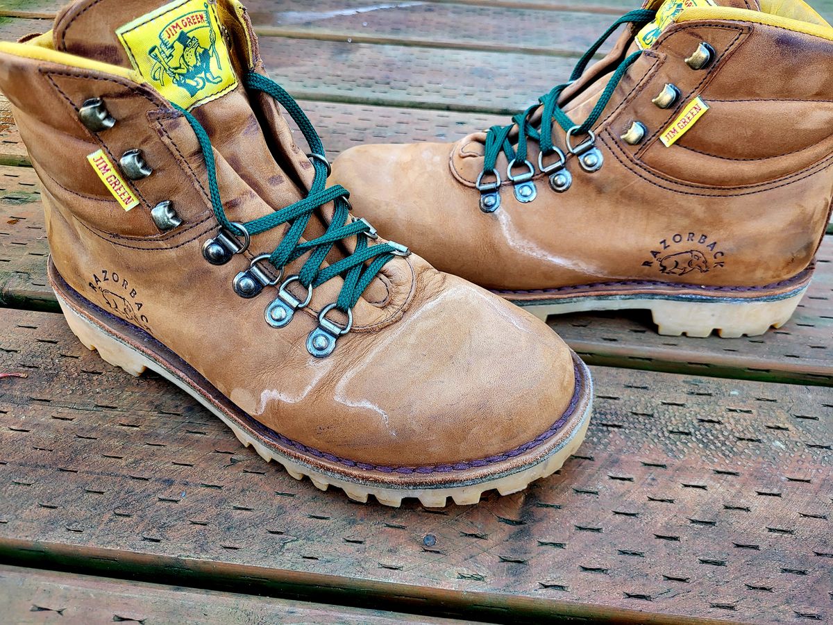 Photo by Max on October 14, 2025 of the Jim Green Razorback in Fudge Crazy Horse.