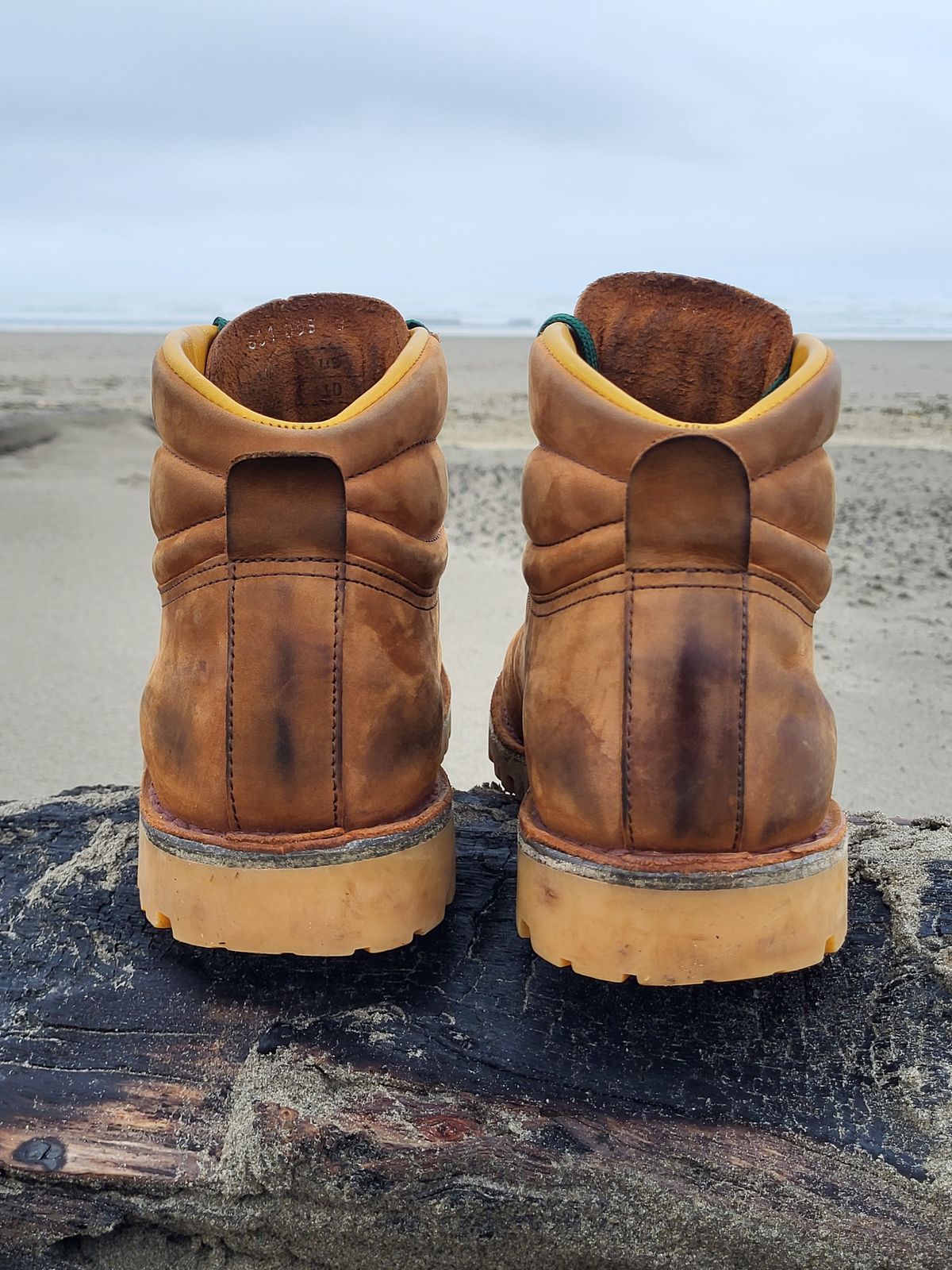 Photo by Max on November 1, 2025 of the Jim Green Razorback in Fudge Crazy Horse.