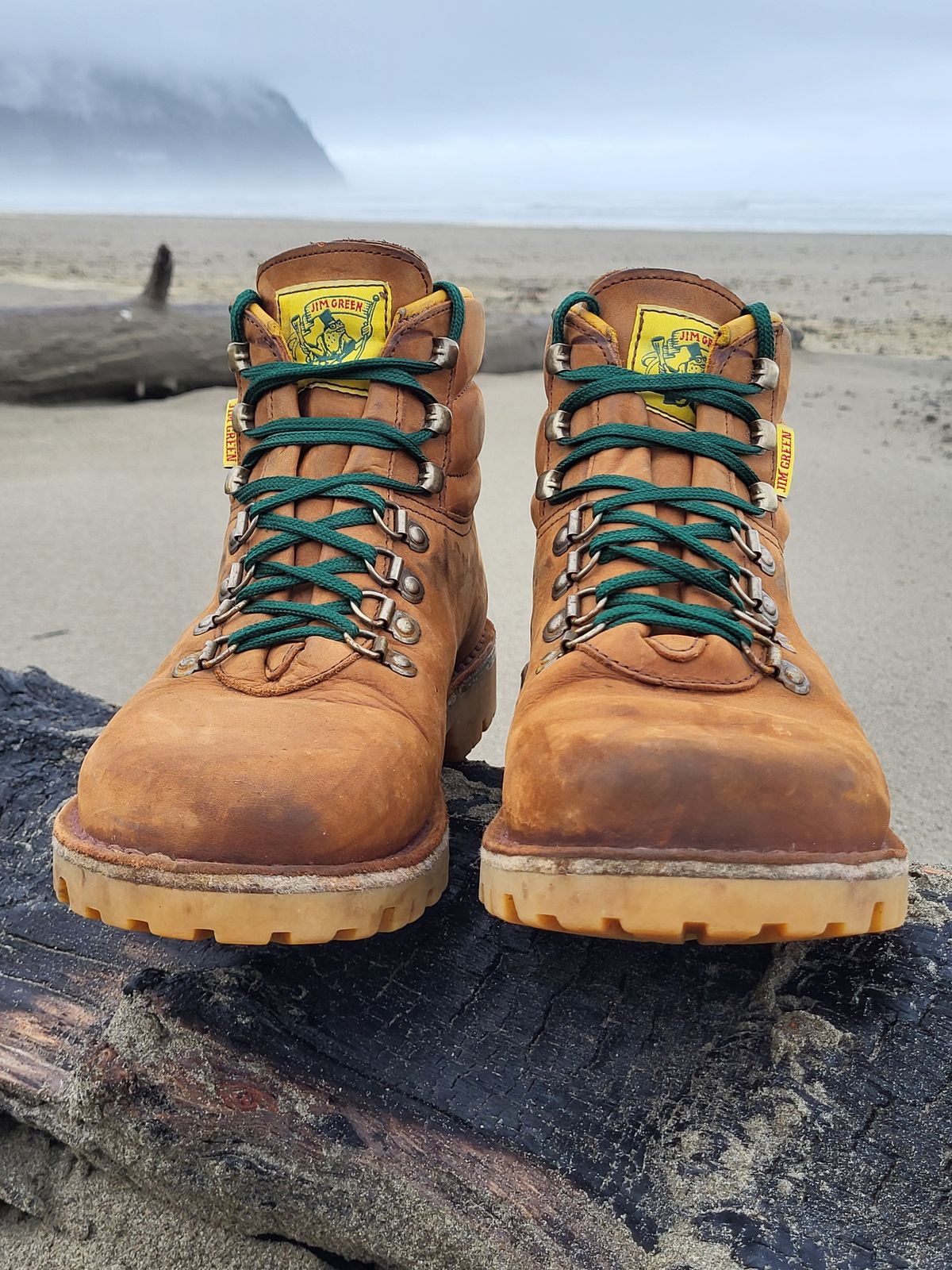 Photo by Max on November 1, 2025 of the Jim Green Razorback in Fudge Crazy Horse.