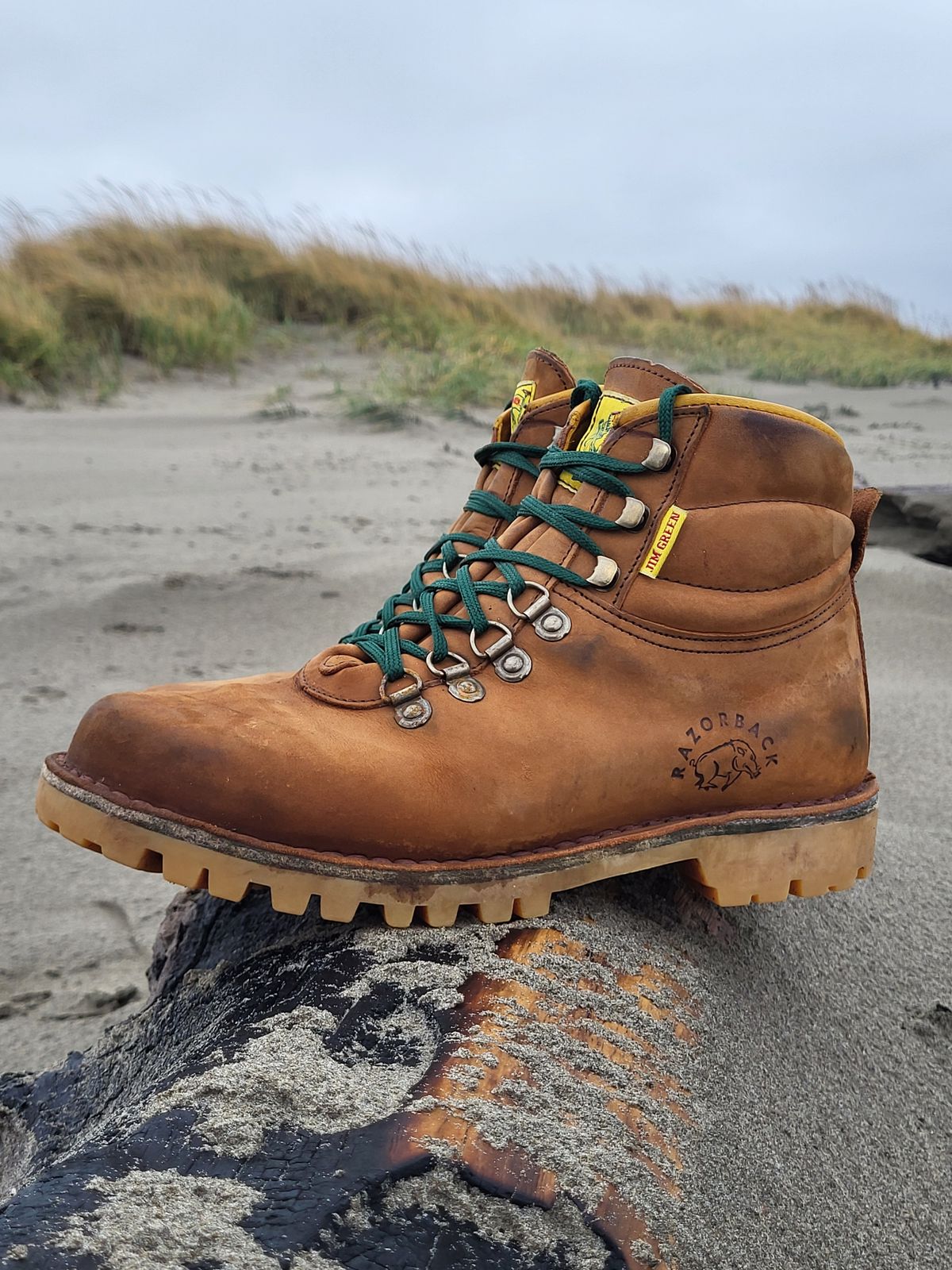 Photo by Max on November 1, 2025 of the Jim Green Razorback in Fudge Crazy Horse.