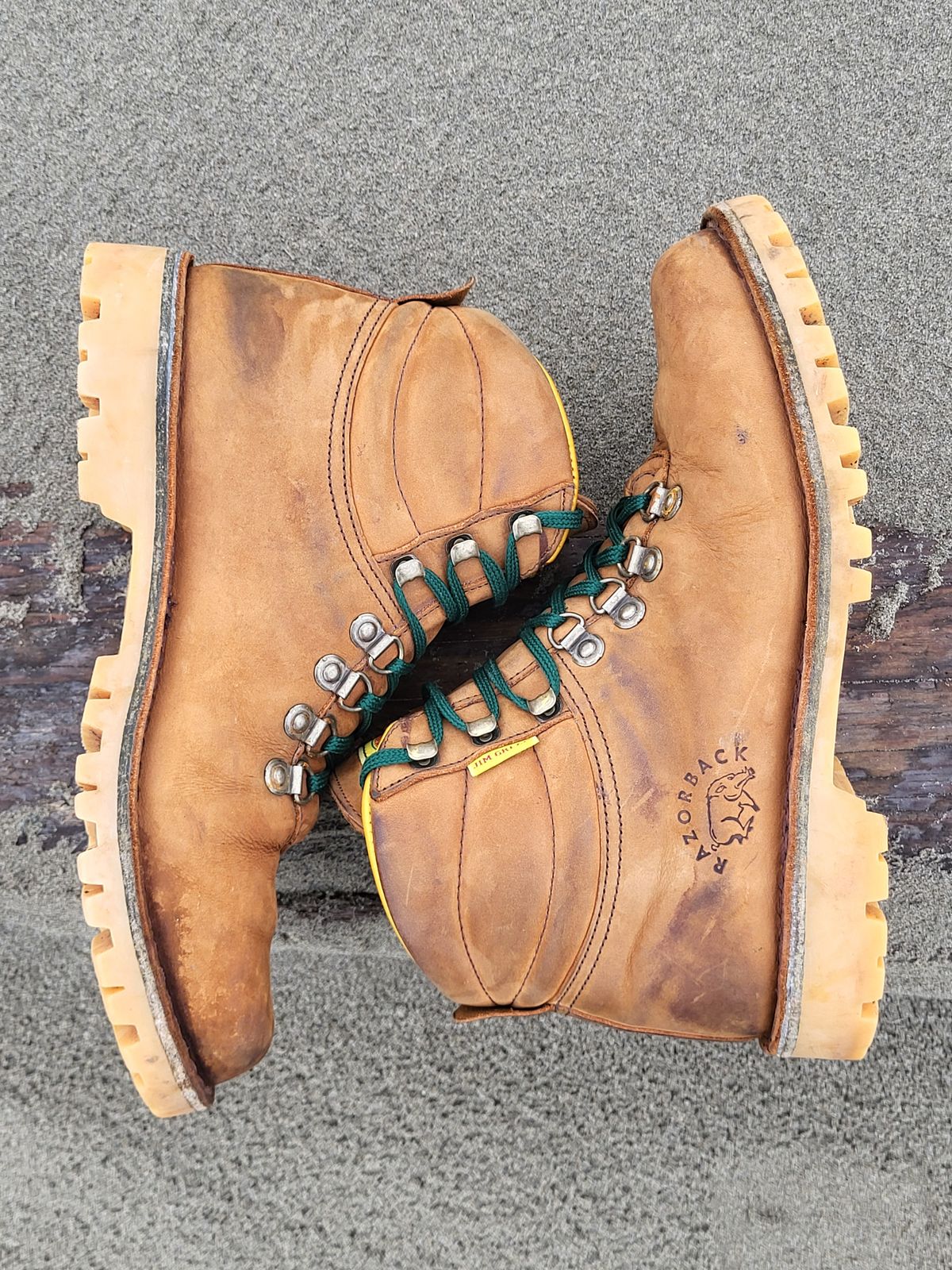 Photo by Max on November 1, 2025 of the Jim Green Razorback in Fudge Crazy Horse.