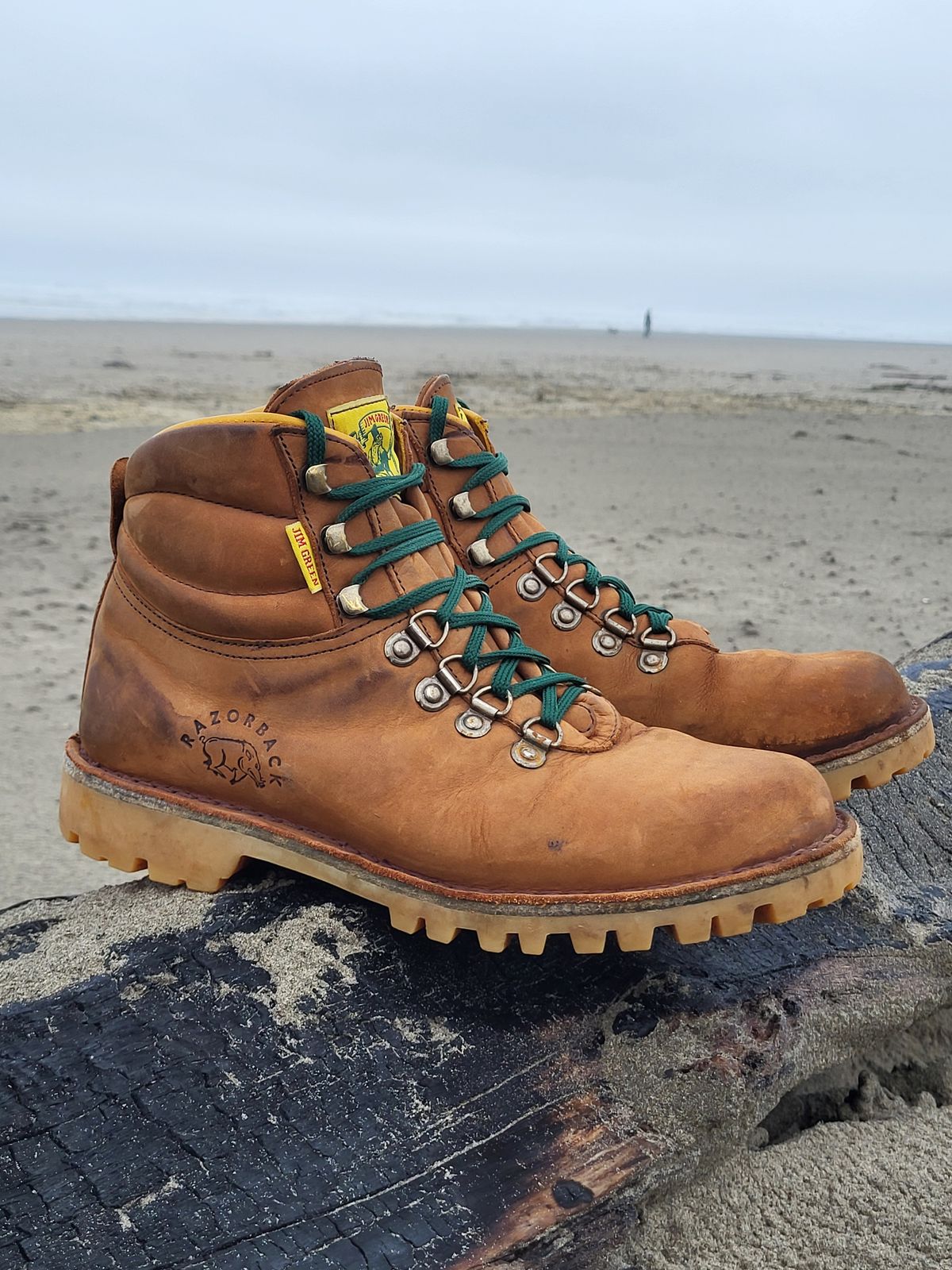 Photo by Max on November 1, 2025 of the Jim Green Razorback in Fudge Crazy Horse.