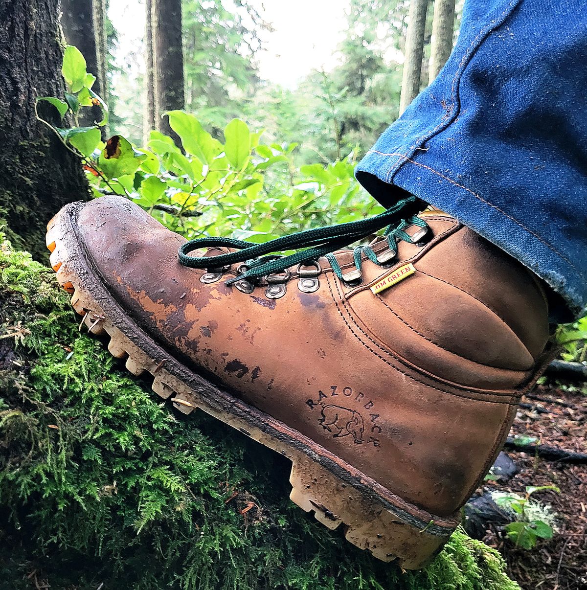 Photo by Max on November 27, 2025 of the Jim Green Razorback in Fudge Crazy Horse.