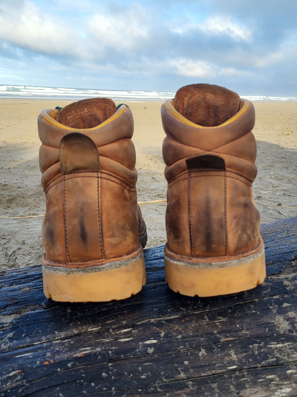 Photo by Max on December 2, 2025 of the Jim Green Razorback in Fudge Crazy Horse.