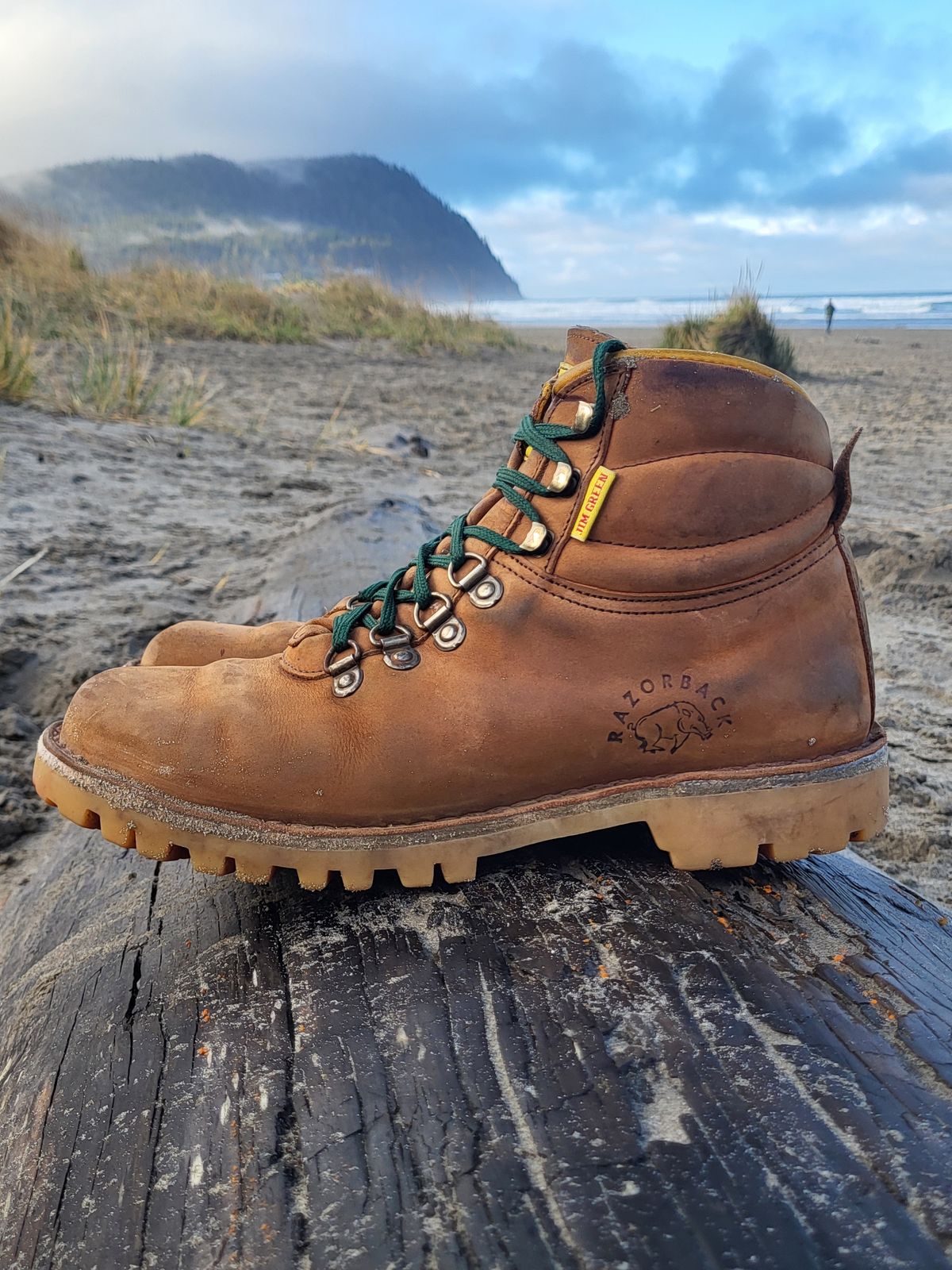 Photo by Max on December 2, 2025 of the Jim Green Razorback in Fudge Crazy Horse.