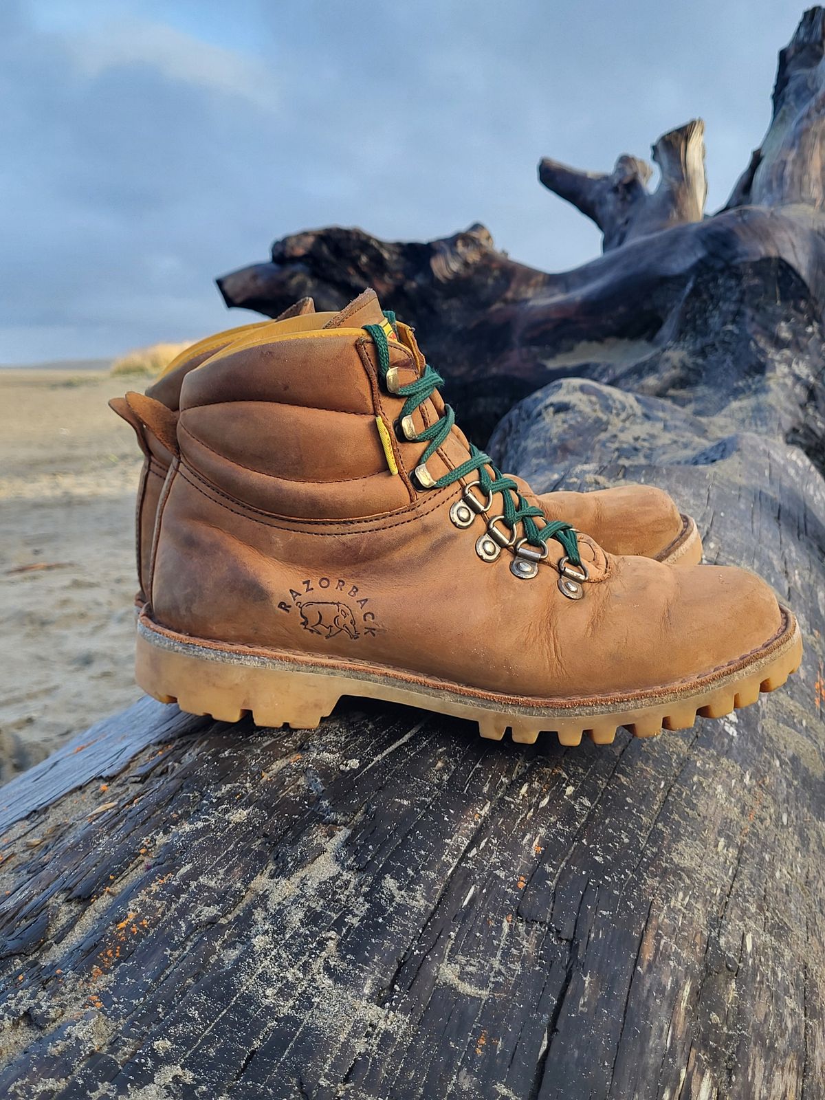 Photo by Max on December 2, 2025 of the Jim Green Razorback in Fudge Crazy Horse.