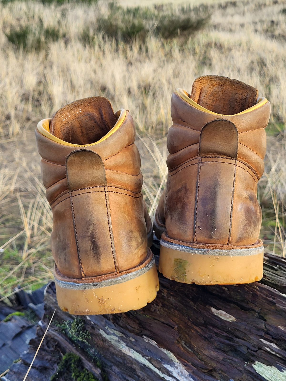 Photo by Max on January 5, 2026 of the Jim Green Razorback in Fudge Crazy Horse.