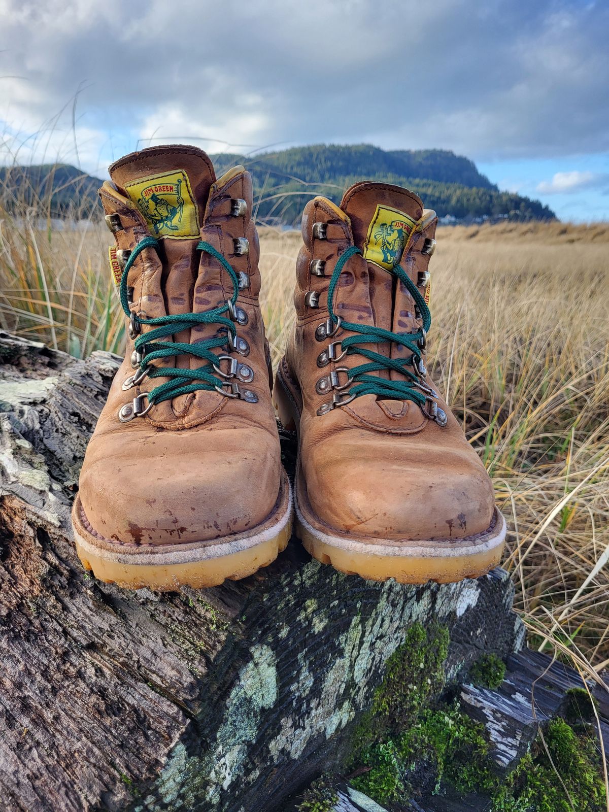 Photo by Max on January 5, 2026 of the Jim Green Razorback in Fudge Crazy Horse.