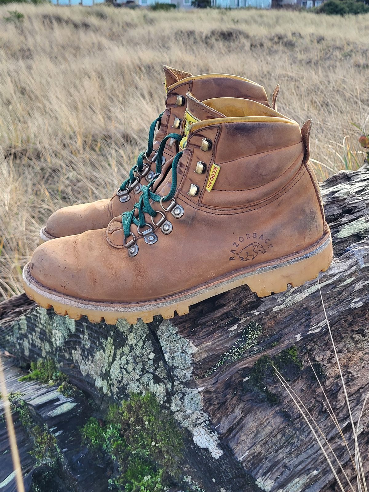 Photo by Max on January 5, 2026 of the Jim Green Razorback in Fudge Crazy Horse.