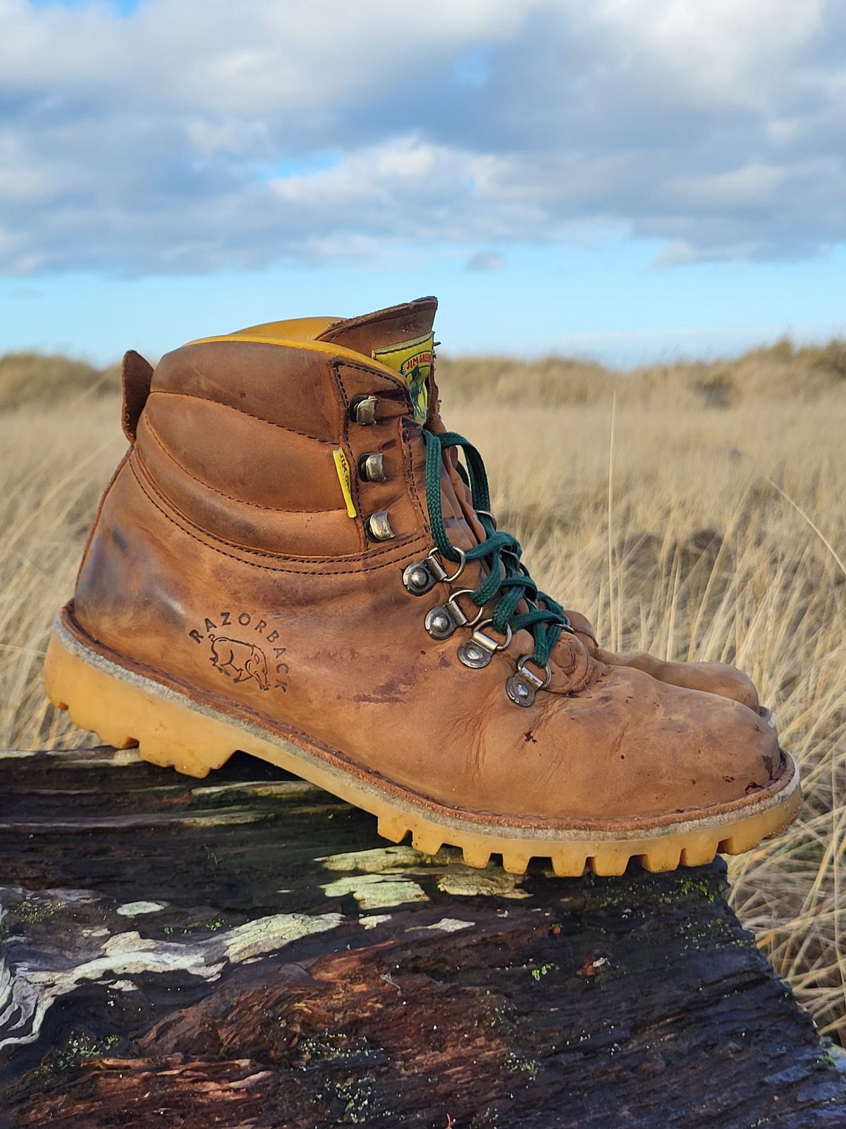 Photo by Max on January 5, 2026 of the Jim Green Razorback in Fudge Crazy Horse.