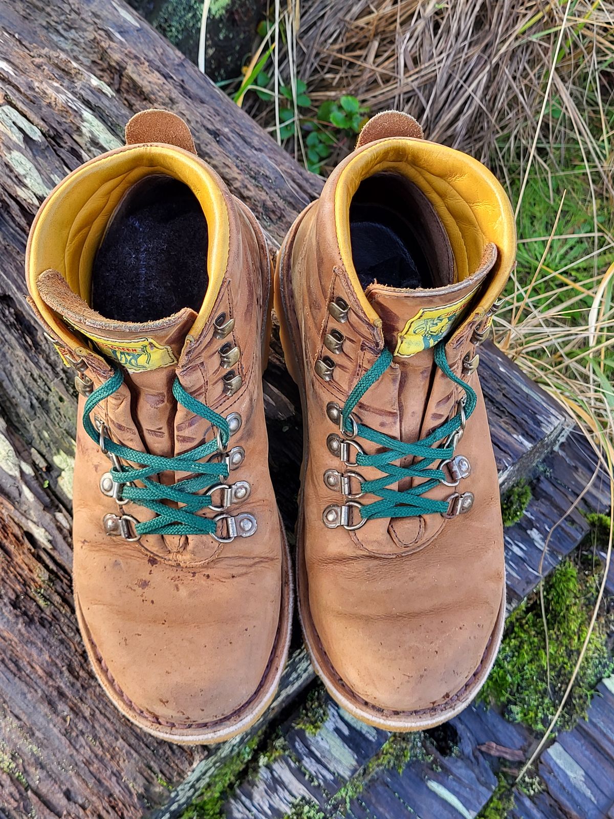 Photo by Max on January 5, 2026 of the Jim Green Razorback in Fudge Crazy Horse.