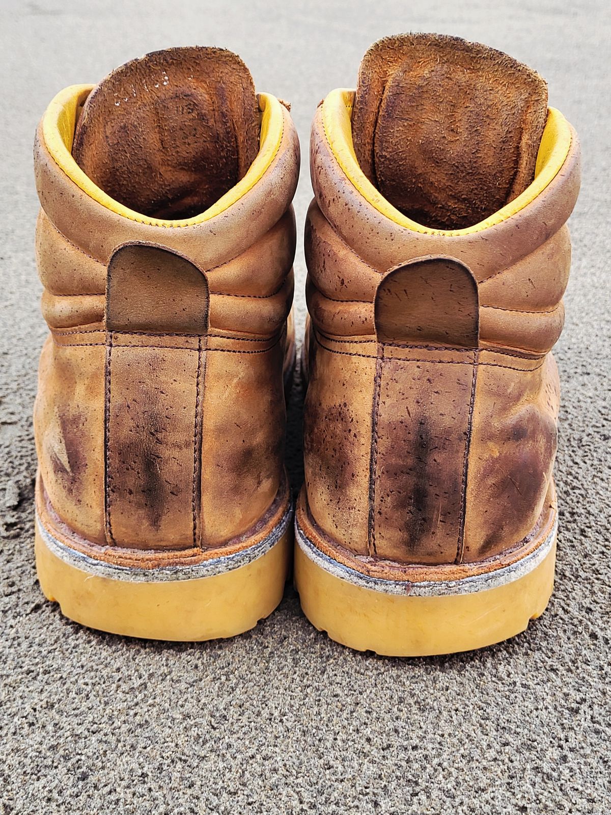 Photo by Max on February 2, 2026 of the Jim Green Razorback in Fudge Crazy Horse.