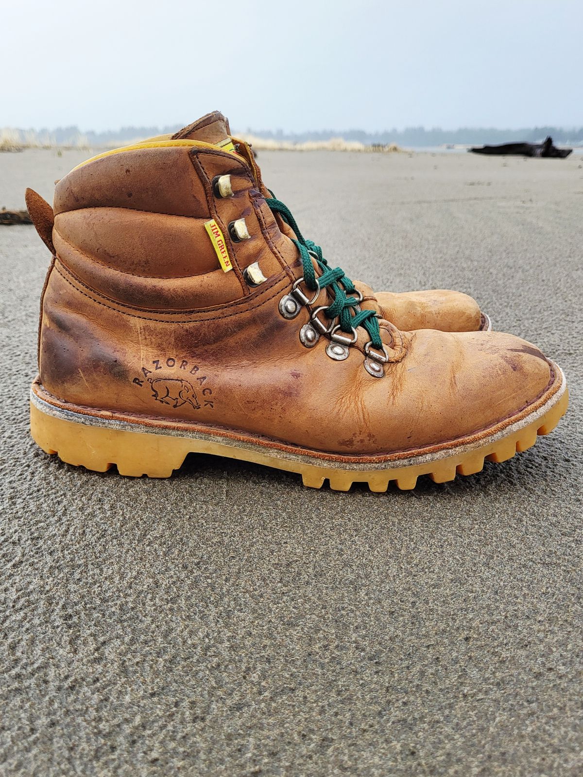 Photo by Max on February 2, 2026 of the Jim Green Razorback in Fudge Crazy Horse.