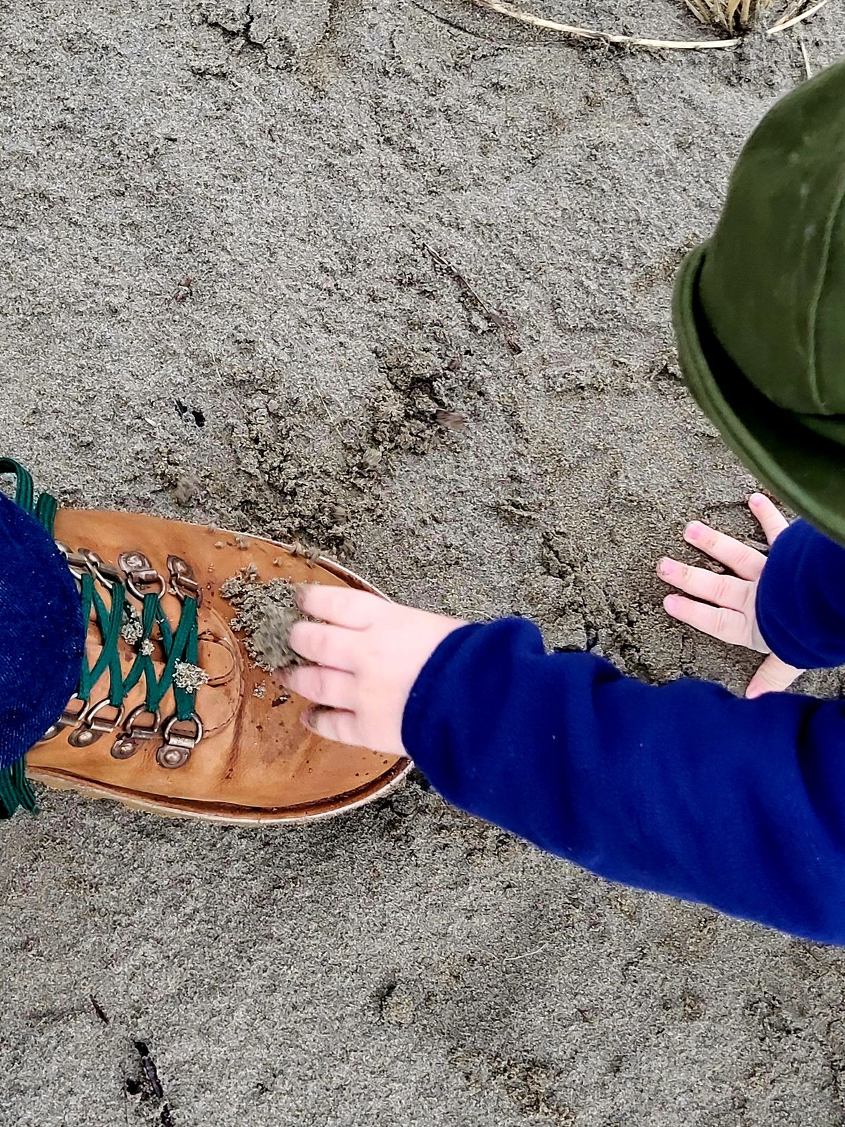 Photo by Max on February 24, 2026 of the Jim Green Razorback in Fudge Crazy Horse.