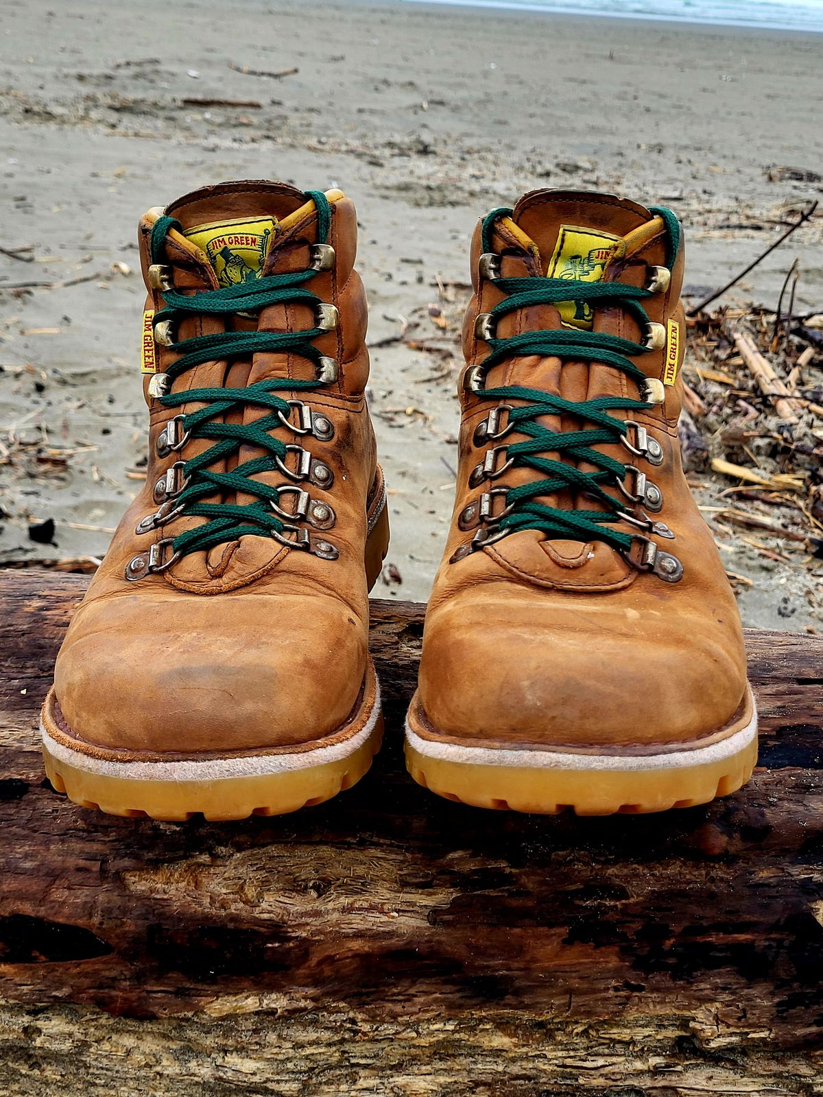 Photo by Max on March 2, 2026 of the Jim Green Razorback in Fudge Crazy Horse.