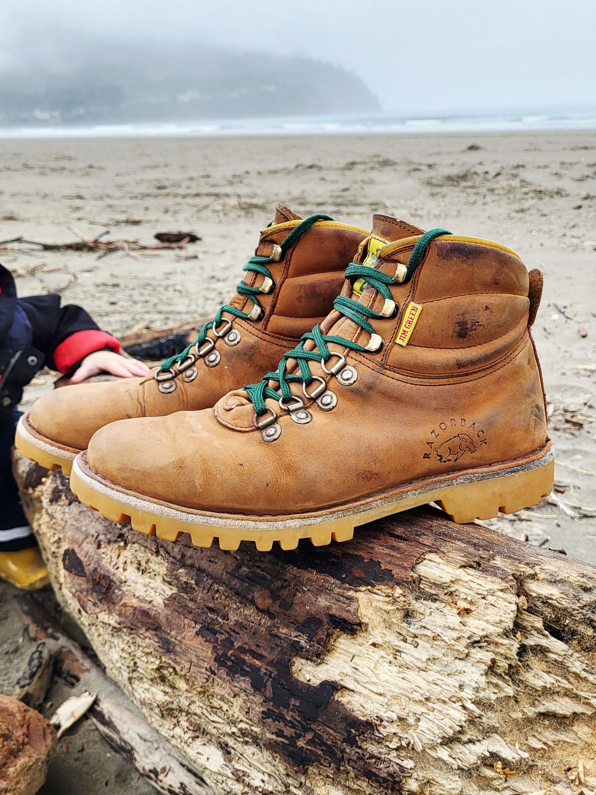 Photo by Max on March 2, 2026 of the Jim Green Razorback in Fudge Crazy Horse.