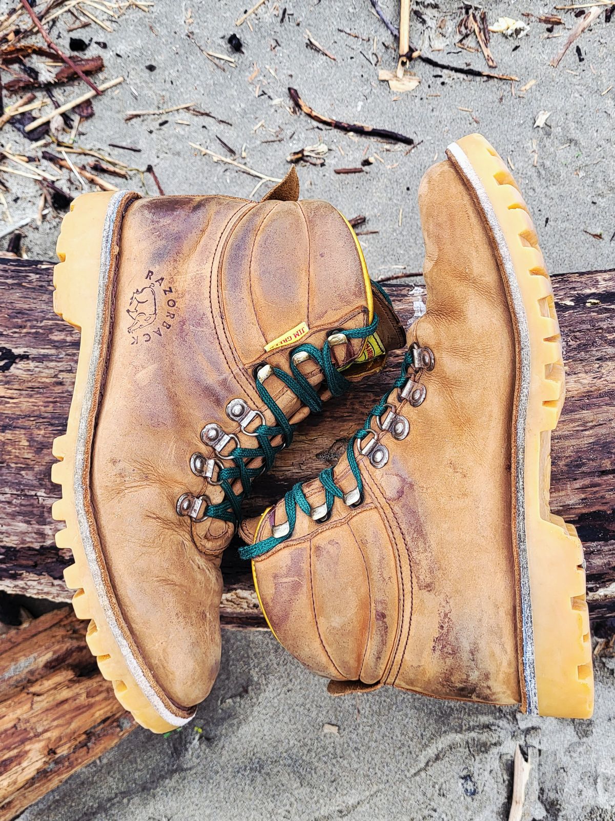 Photo by Max on March 2, 2026 of the Jim Green Razorback in Fudge Crazy Horse.