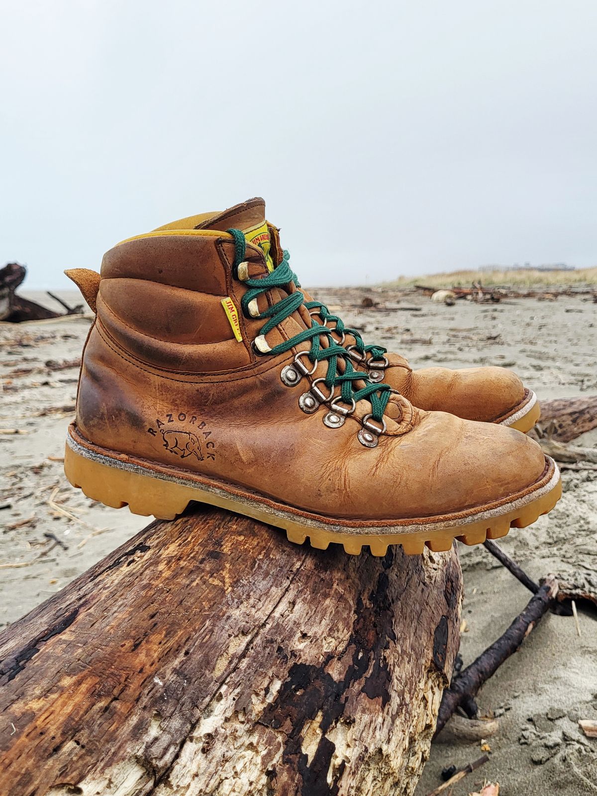 Photo by Max on March 2, 2026 of the Jim Green Razorback in Fudge Crazy Horse.