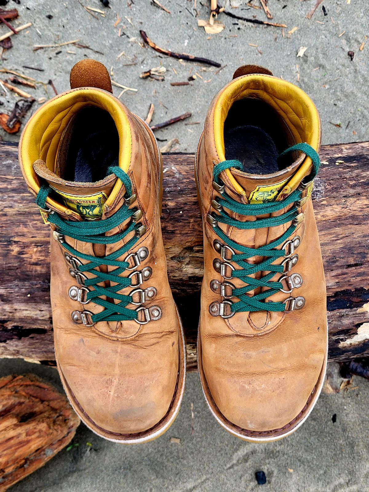 Photo by Max on March 2, 2026 of the Jim Green Razorback in Fudge Crazy Horse.