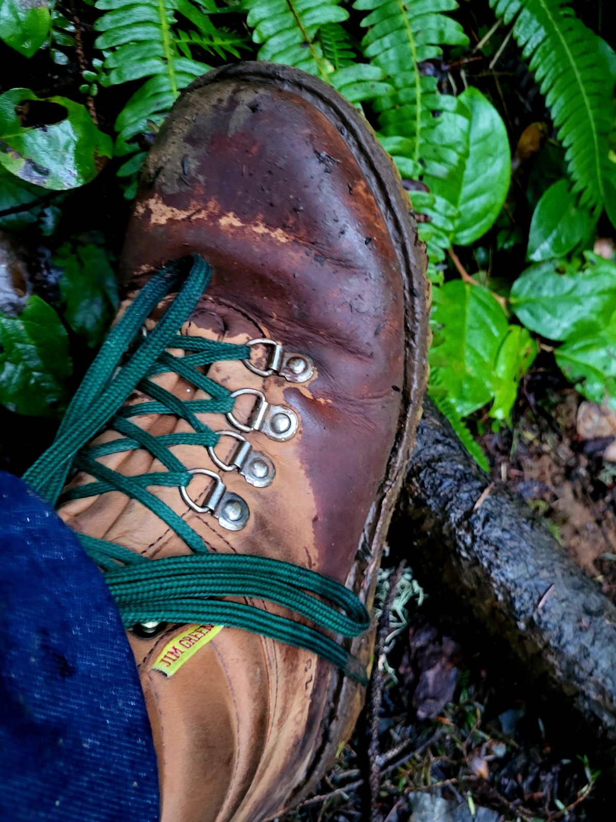 Photo by Max on March 5, 2026 of the Jim Green Razorback in Fudge Crazy Horse.